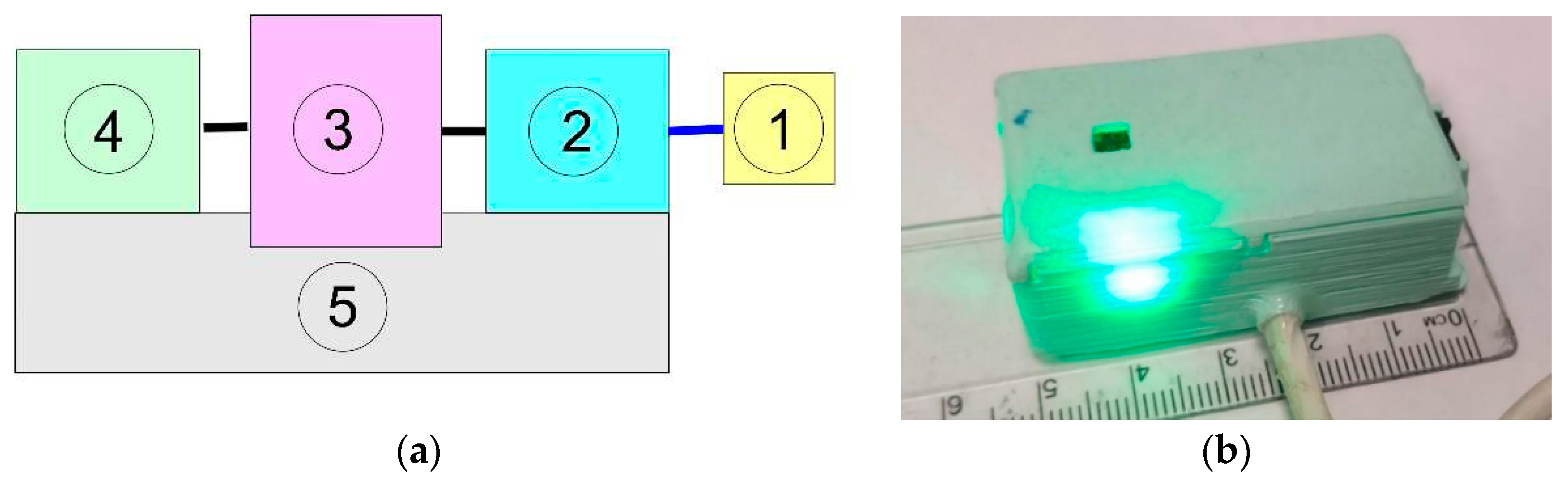 Preprints 78682 g003