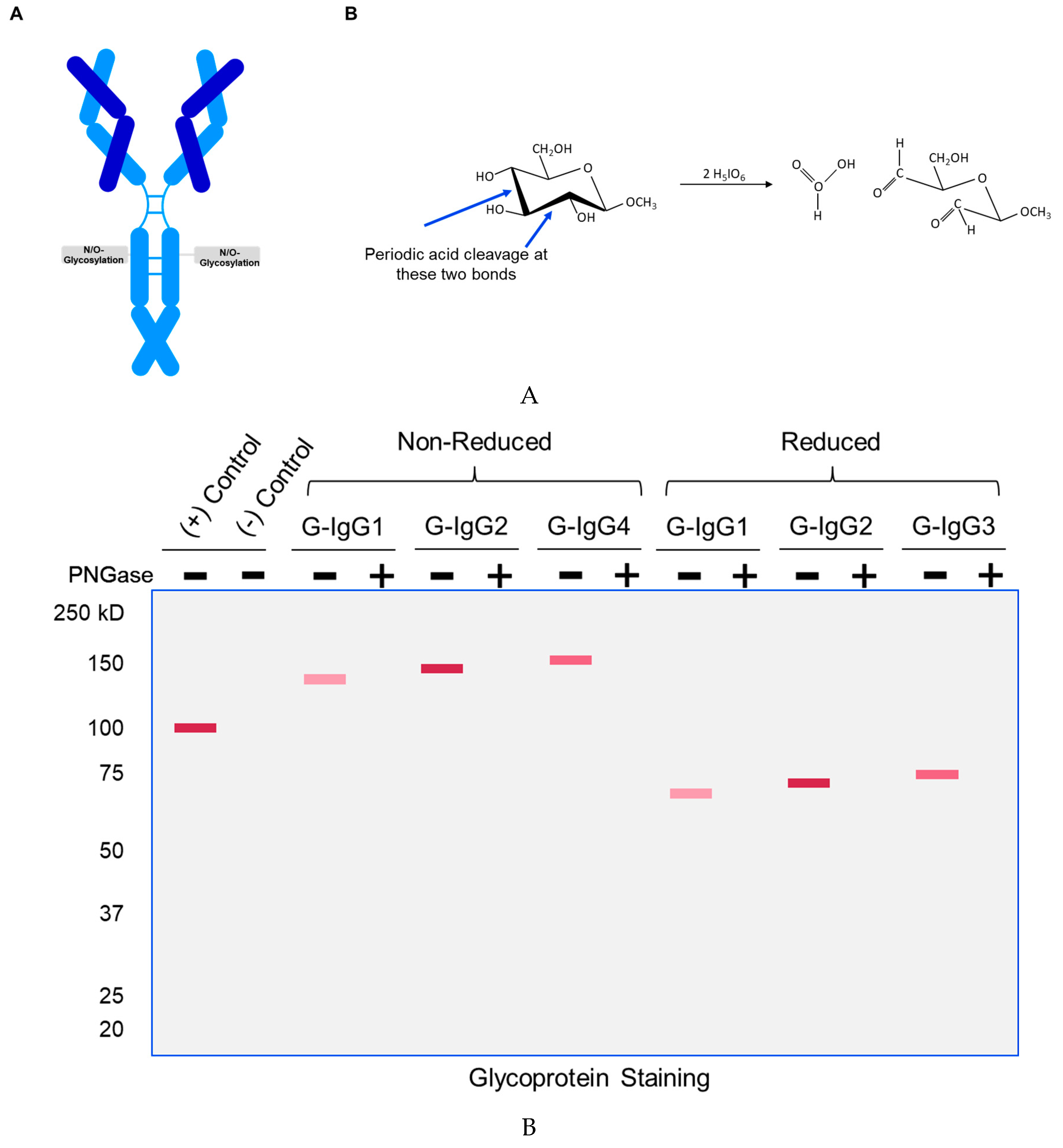 Preprints 91017 g001