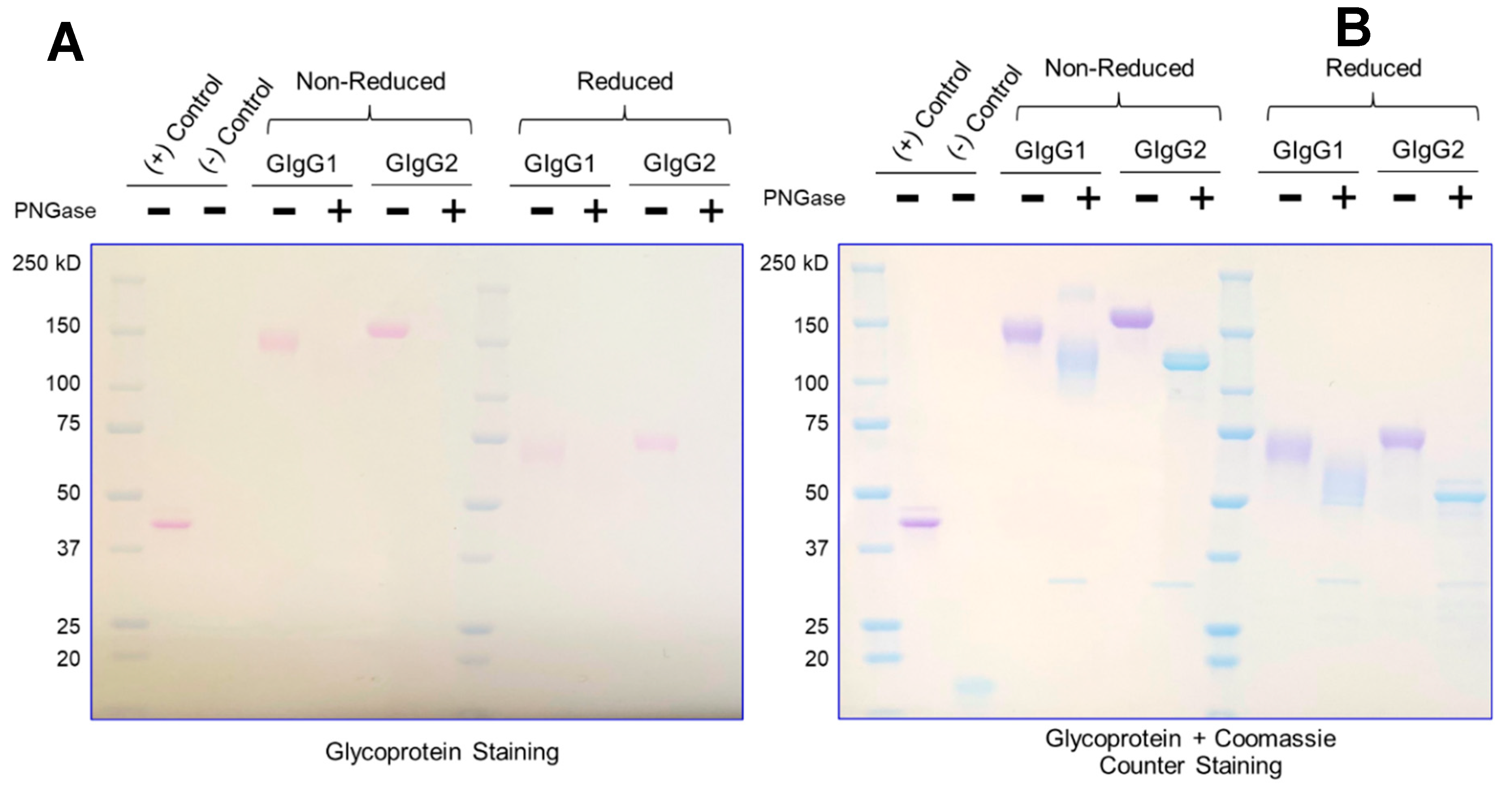 Preprints 91017 g002a