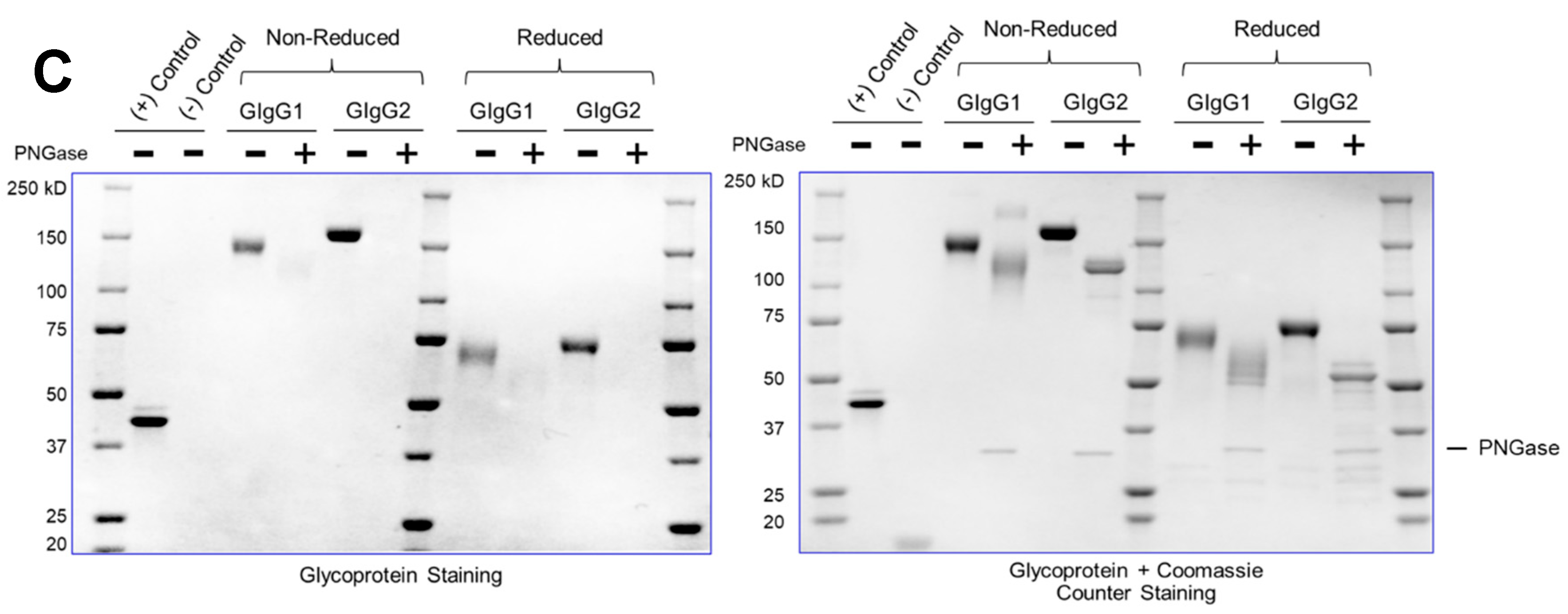 Preprints 91017 g002b