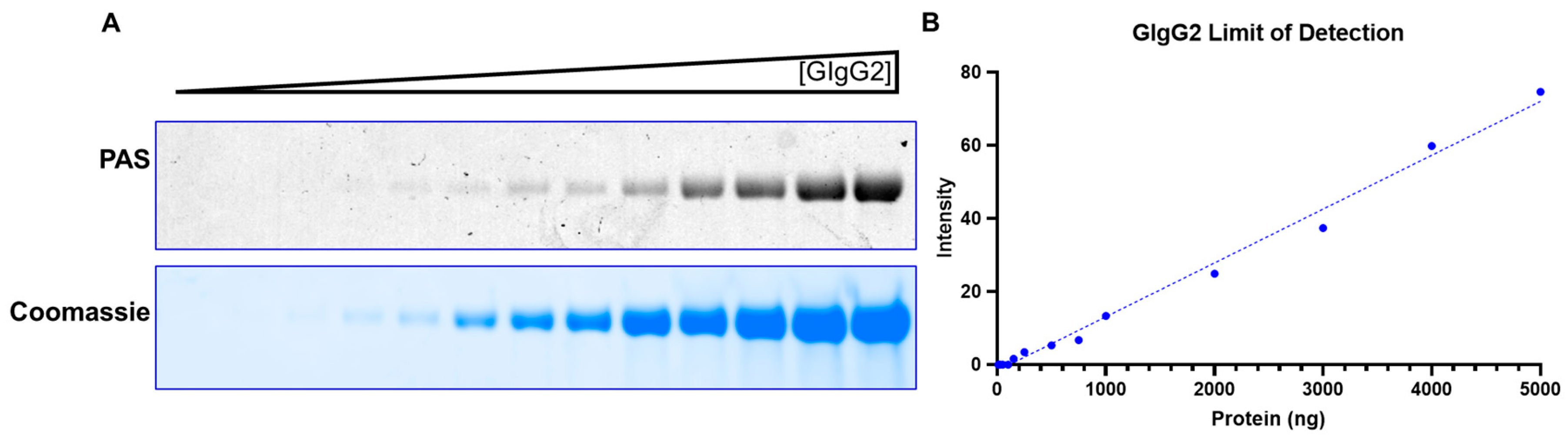 Preprints 91017 g003