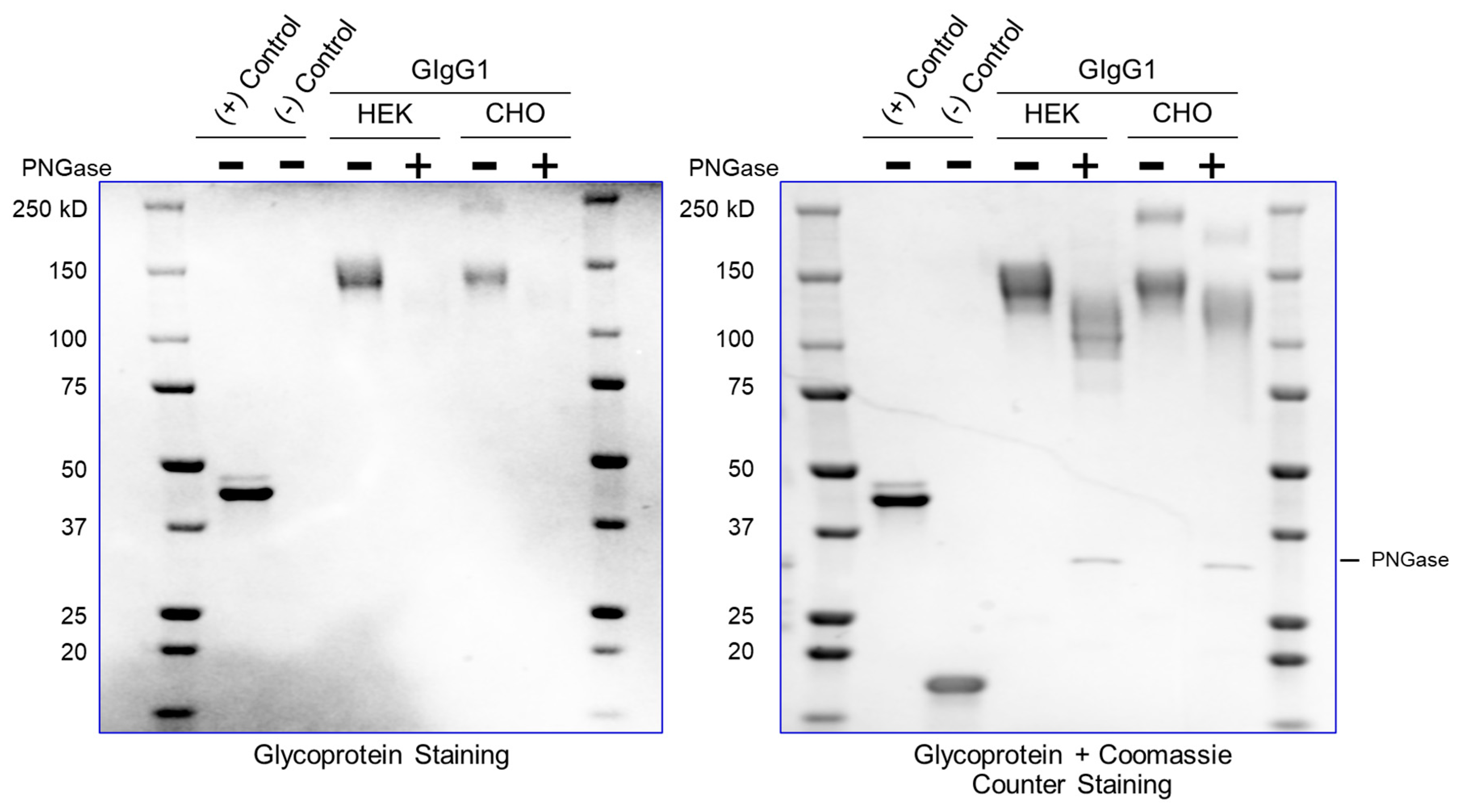 Preprints 91017 g004