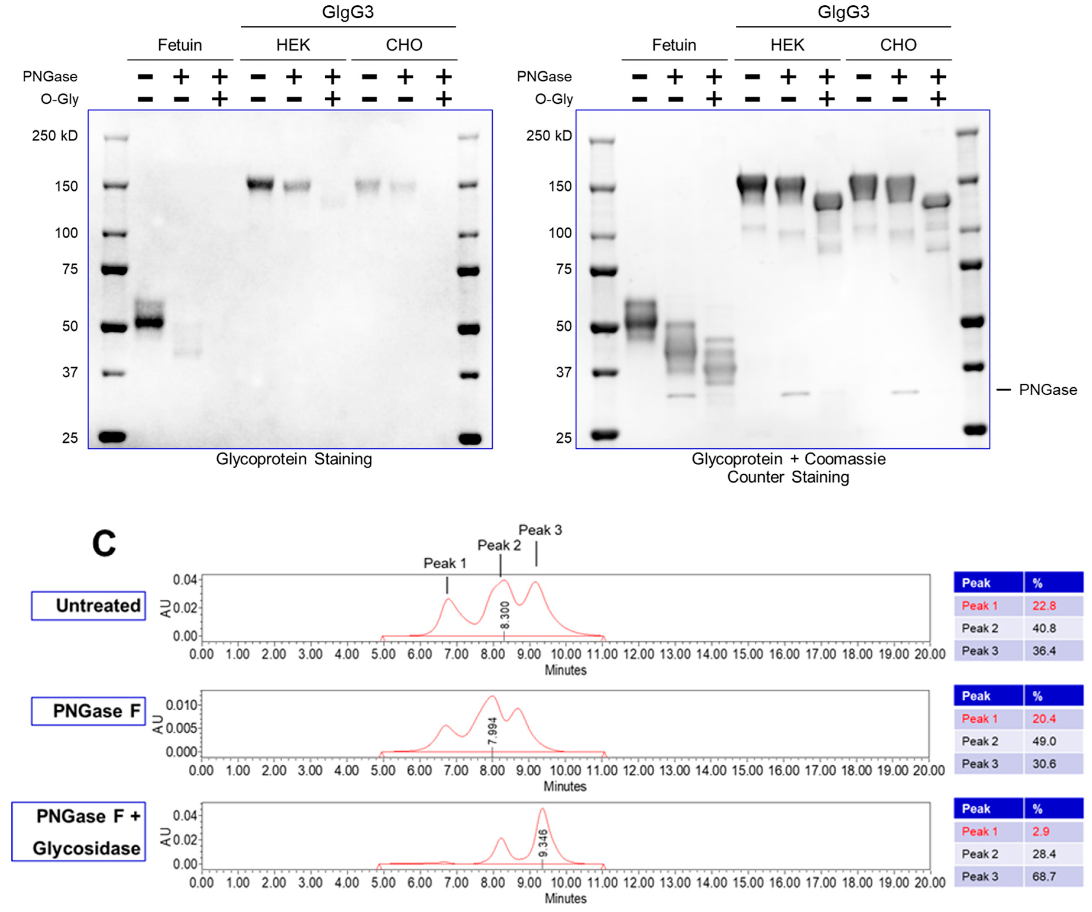 Preprints 91017 g005