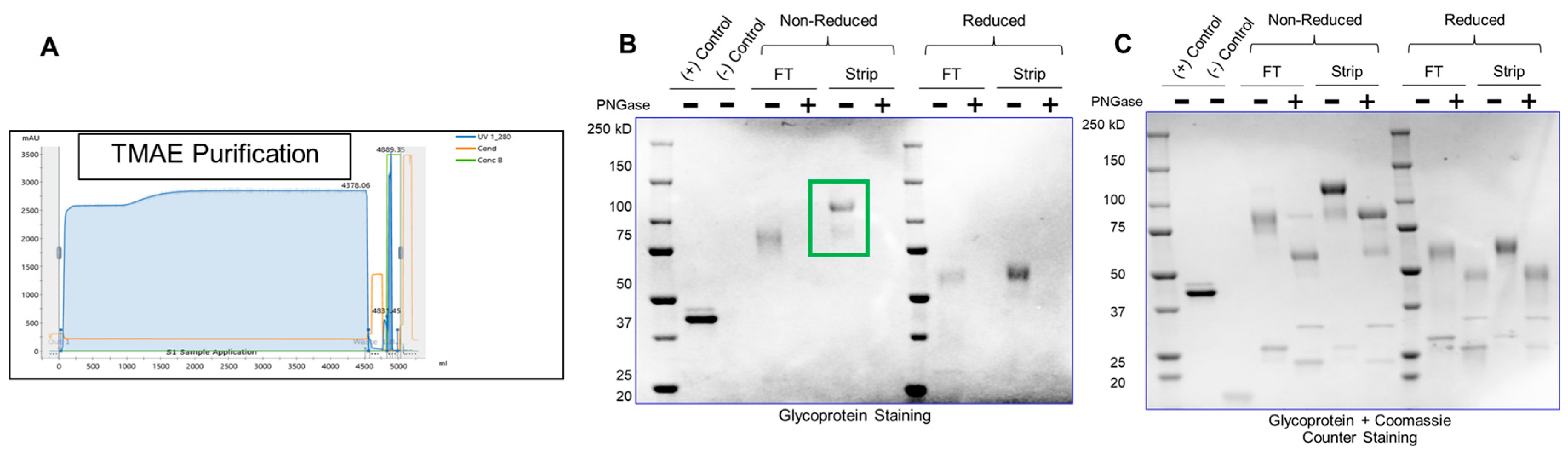 Preprints 91017 g006