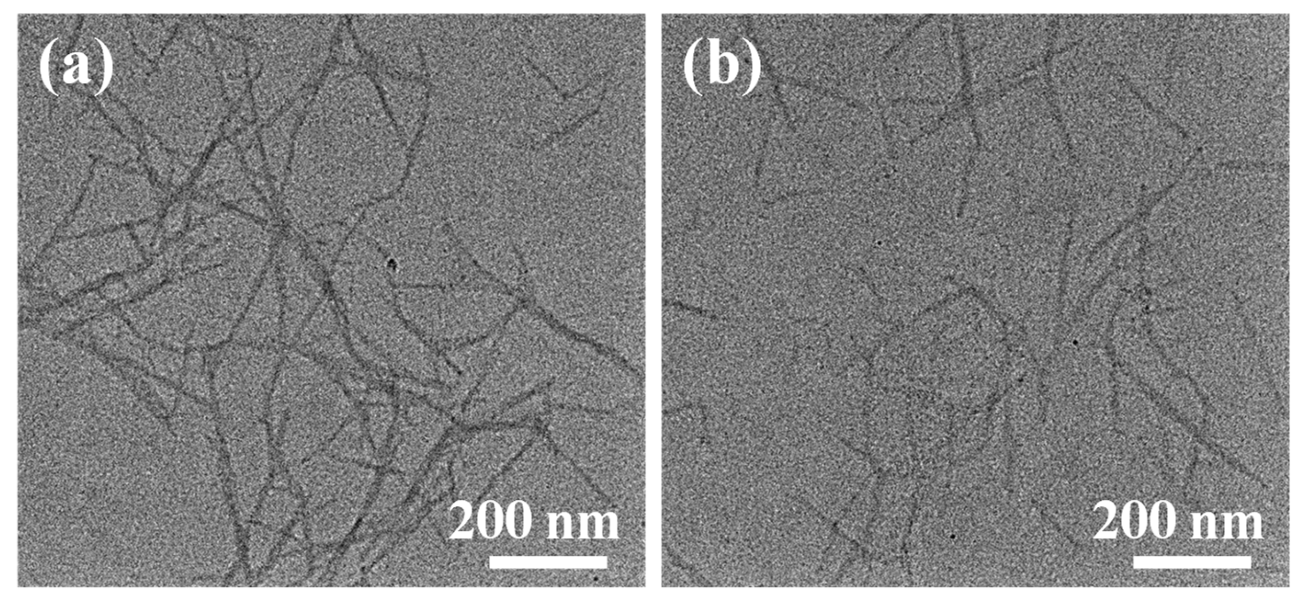 Preprints 104167 g001