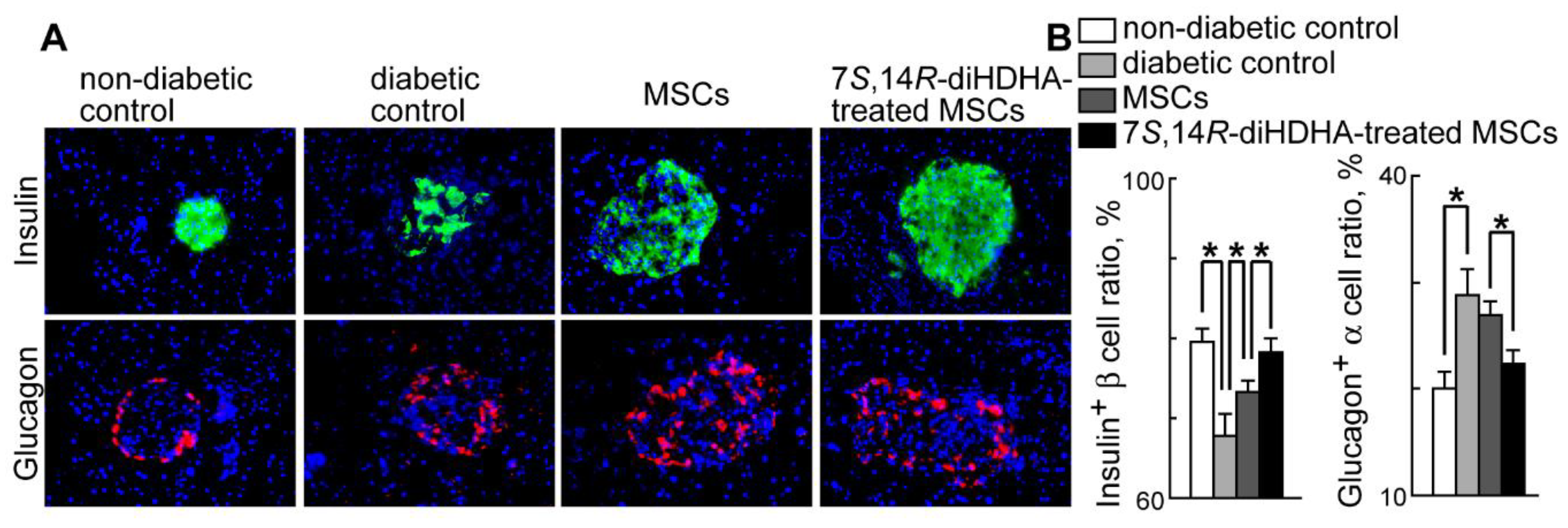 Preprints 97341 g004