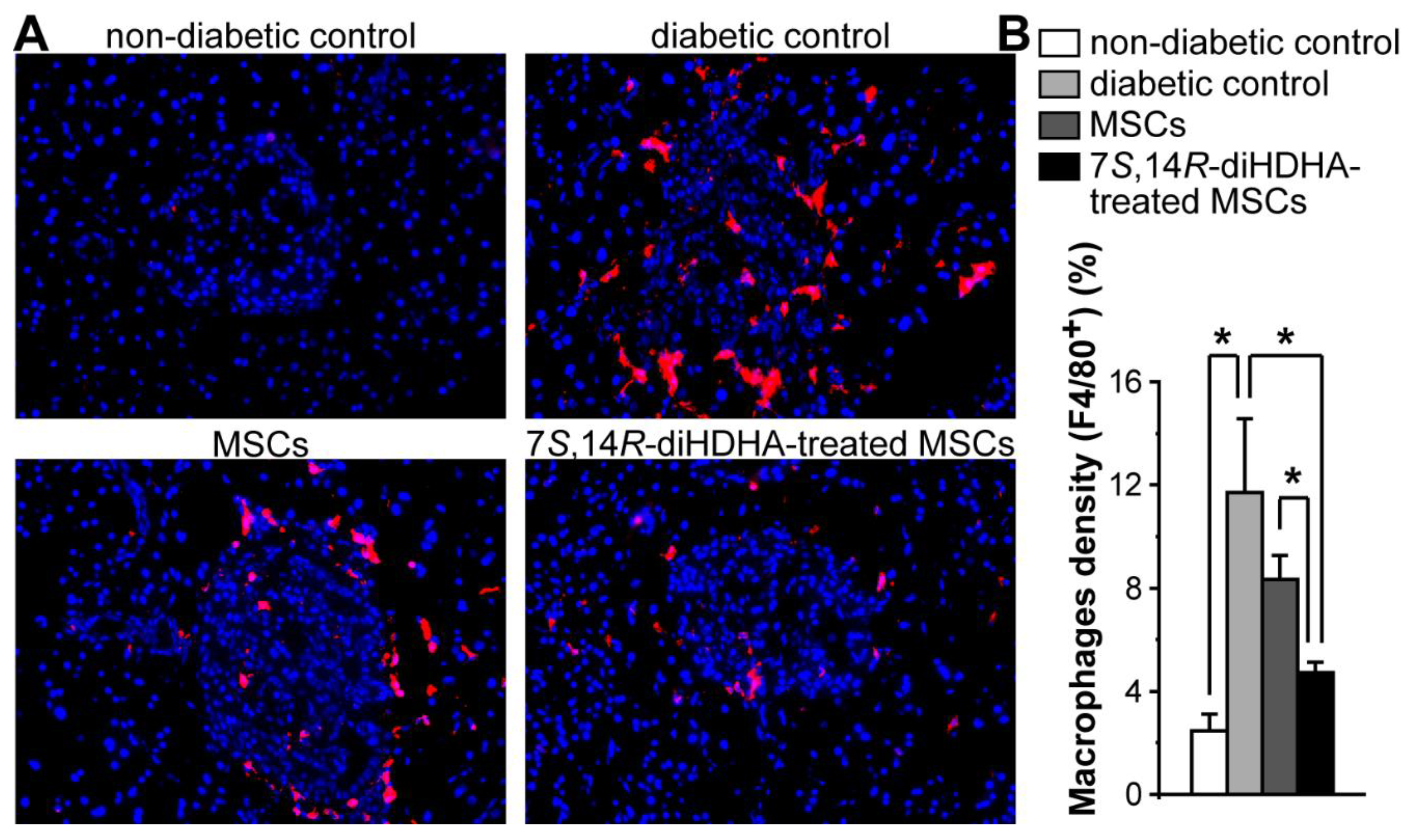 Preprints 97341 g005