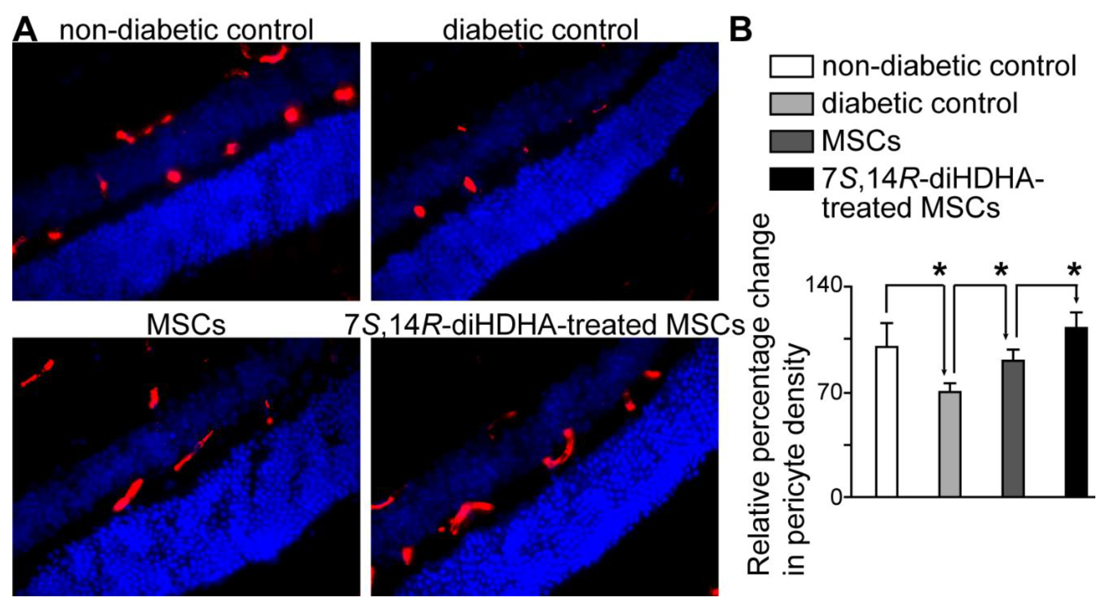 Preprints 97341 g008