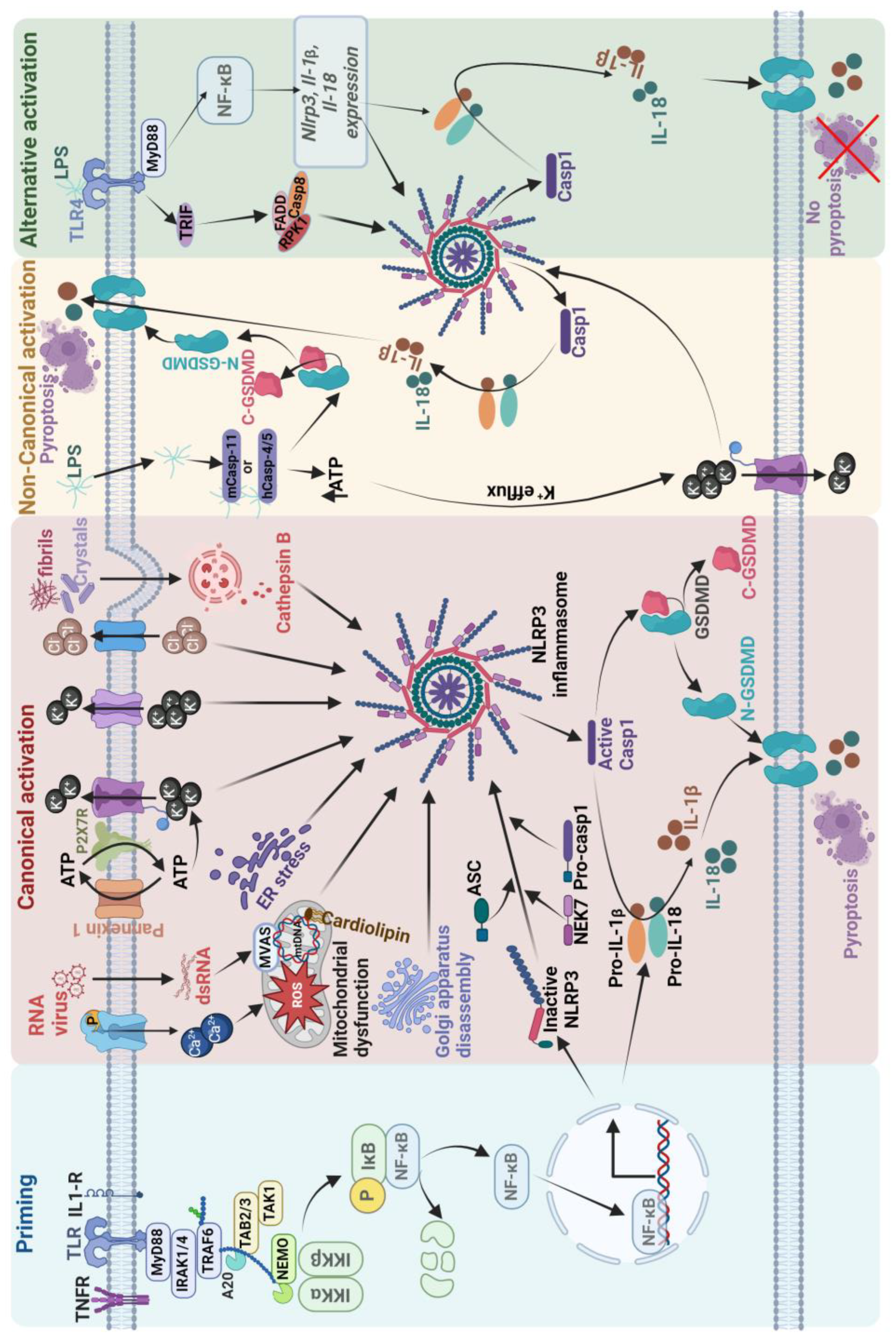 Preprints 107982 g001