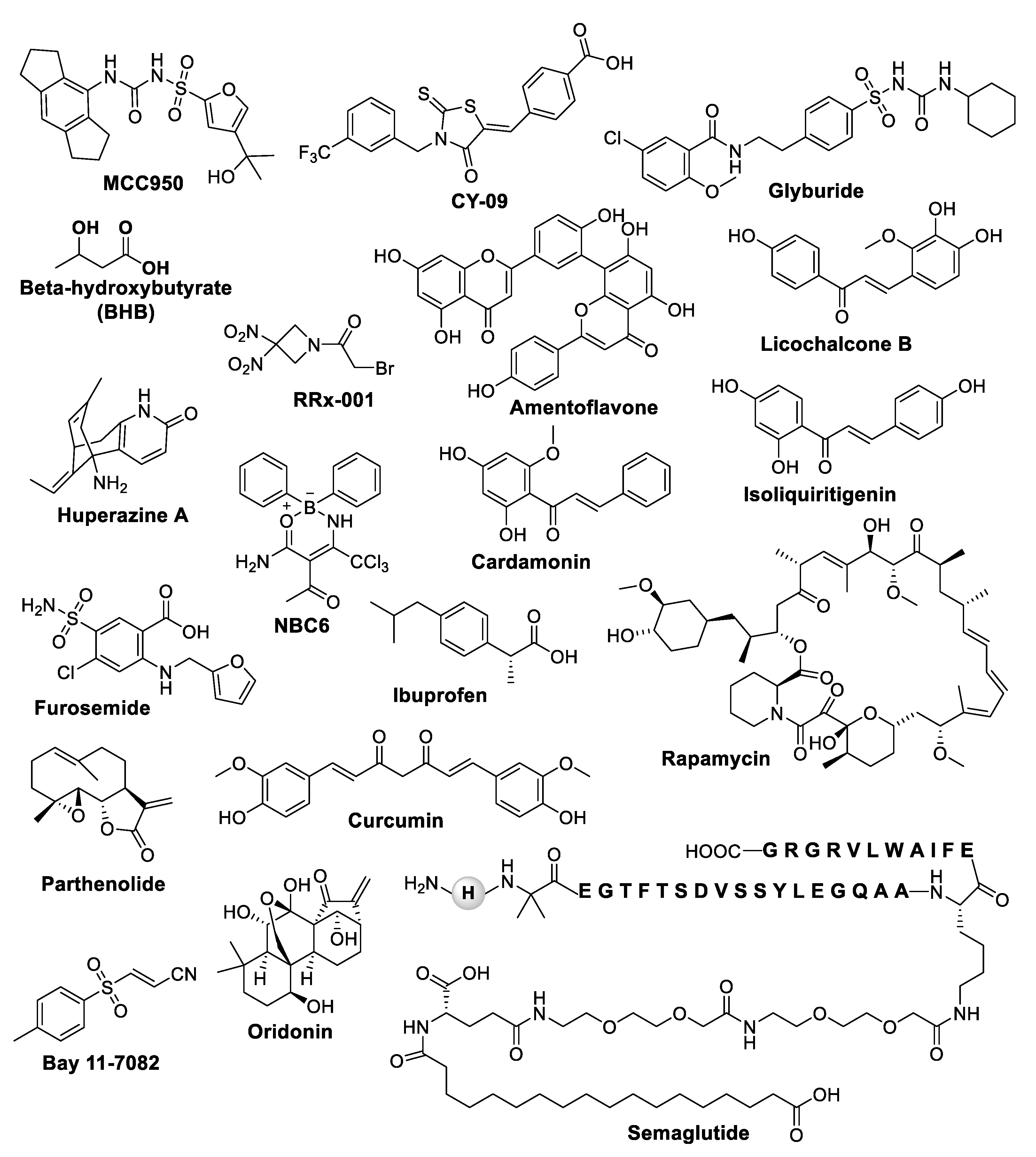 Preprints 107982 g003