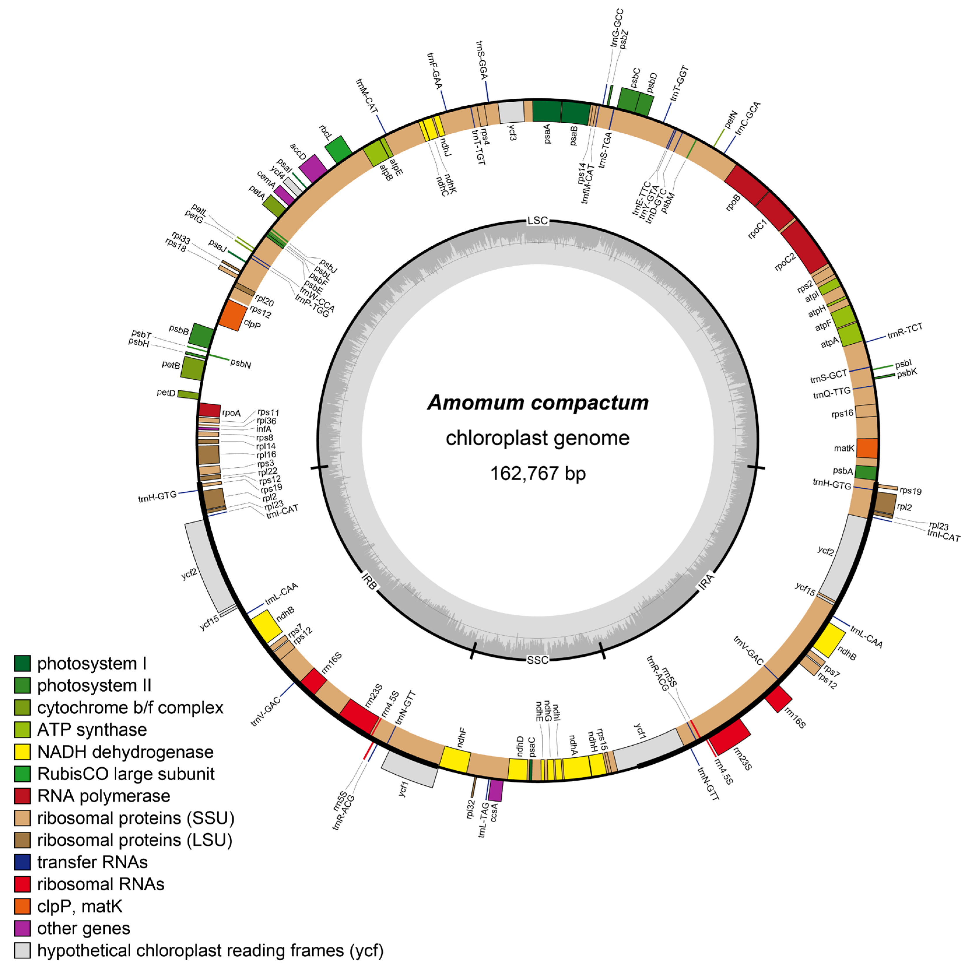 Preprints 108334 g001