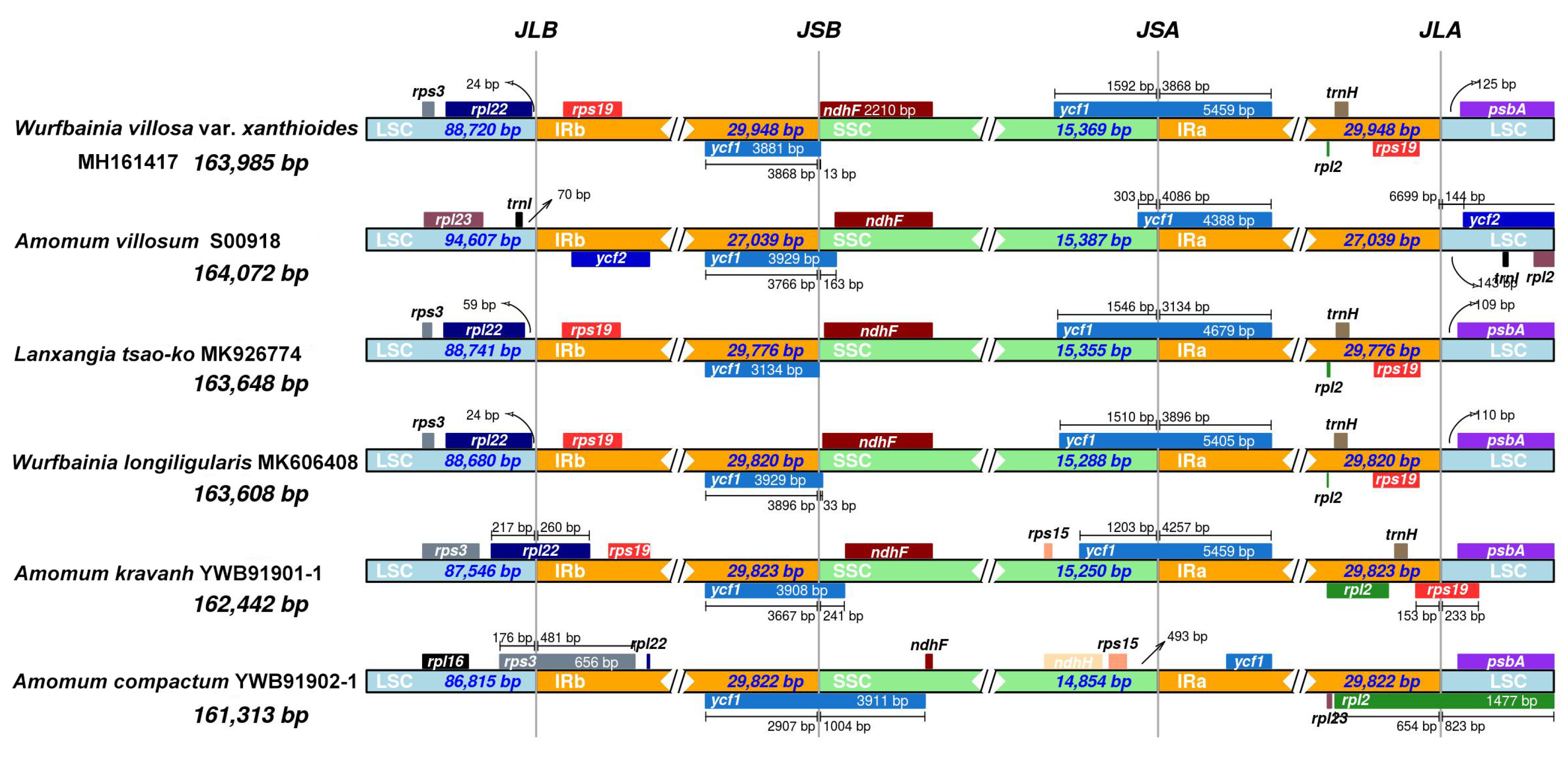 Preprints 108334 g002