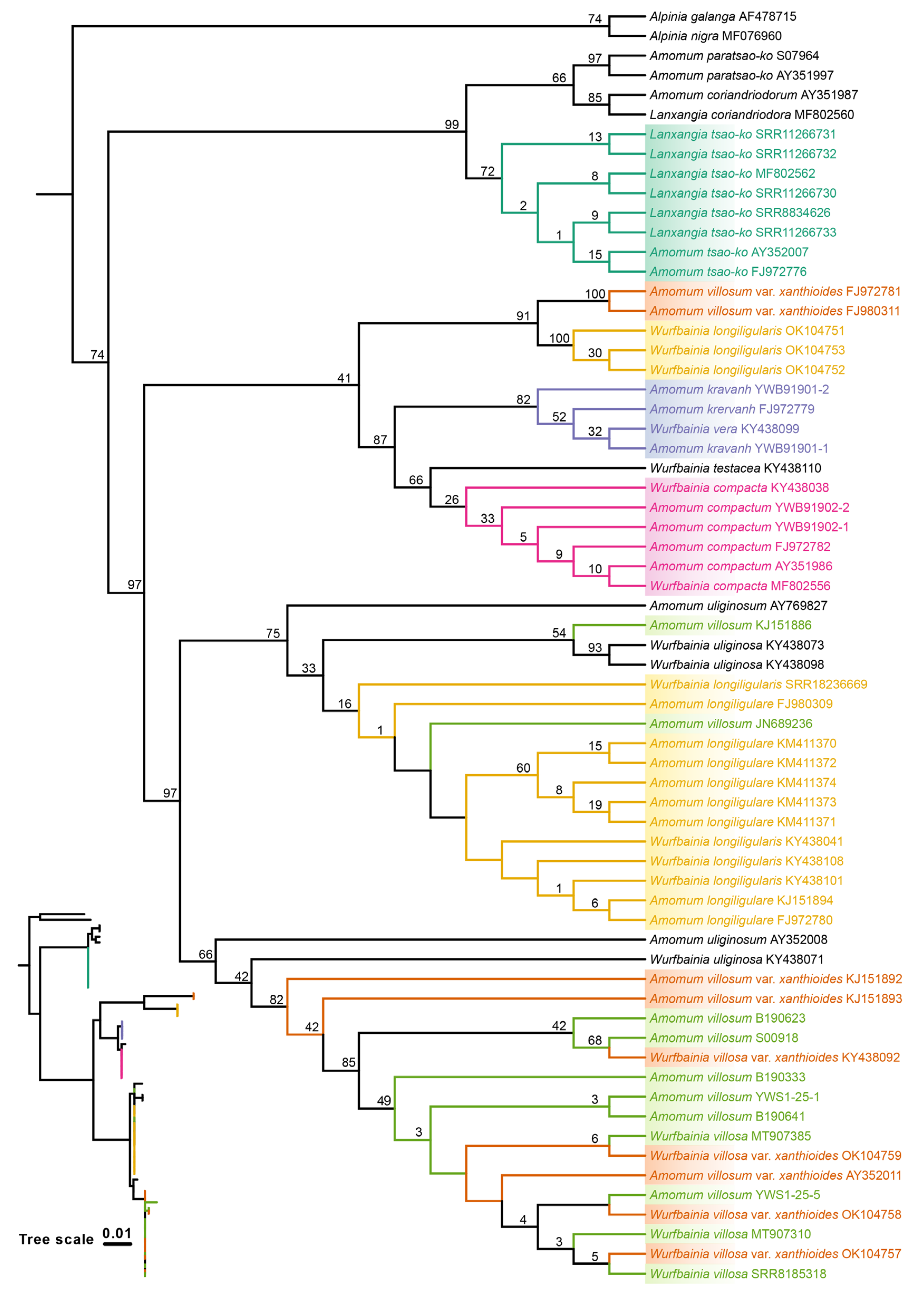 Preprints 108334 g006