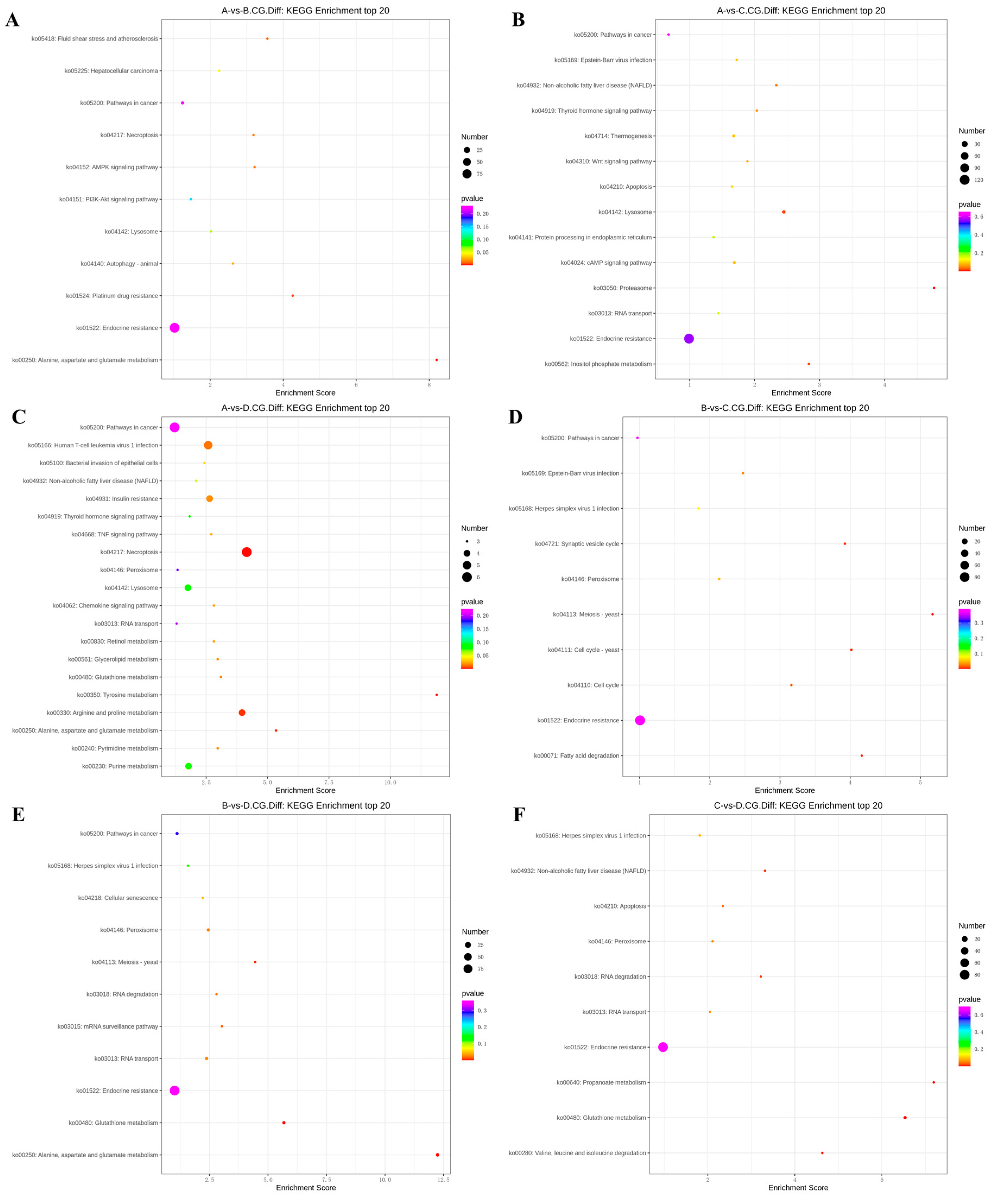 Preprints 87950 g004