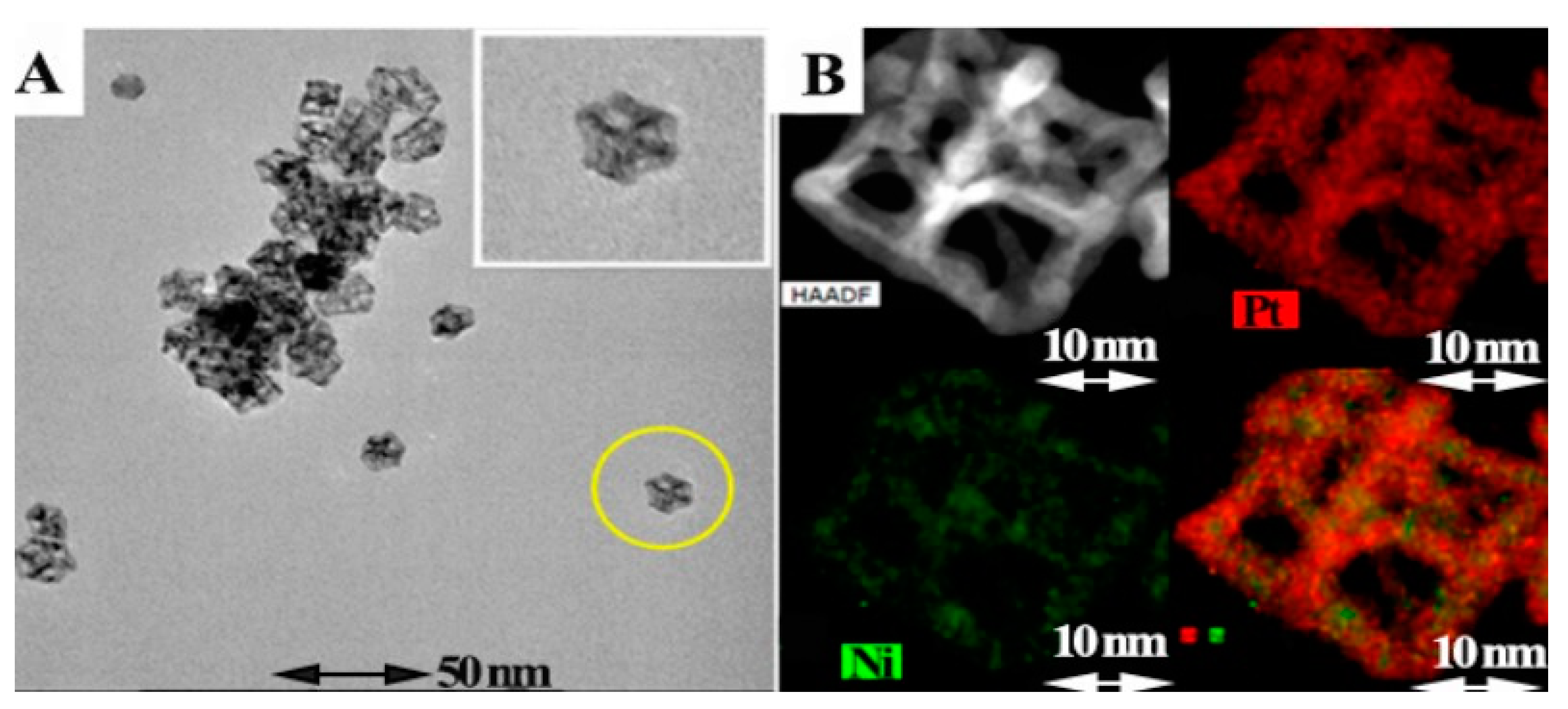 Preprints 97762 g011