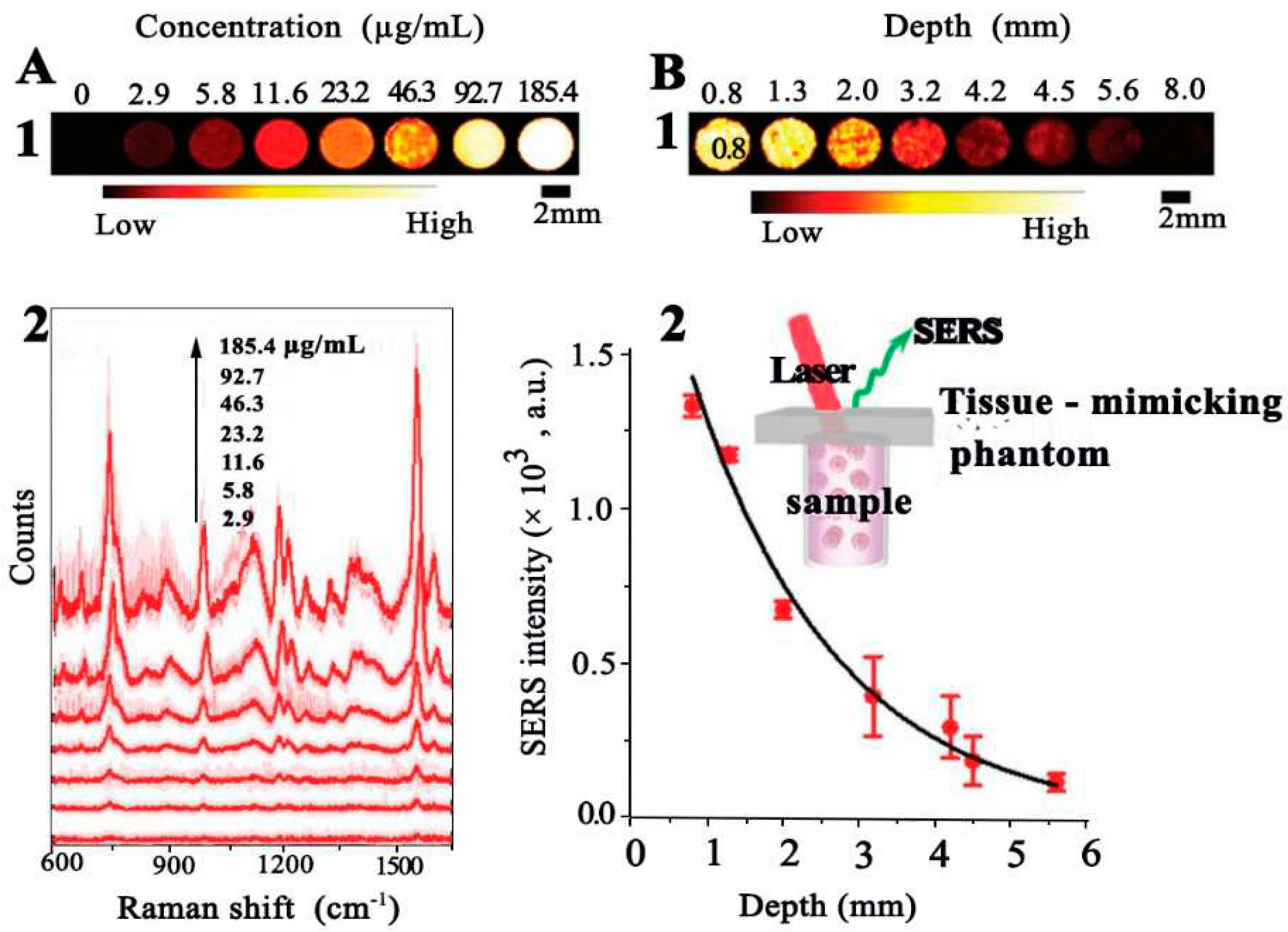 Preprints 97762 g029