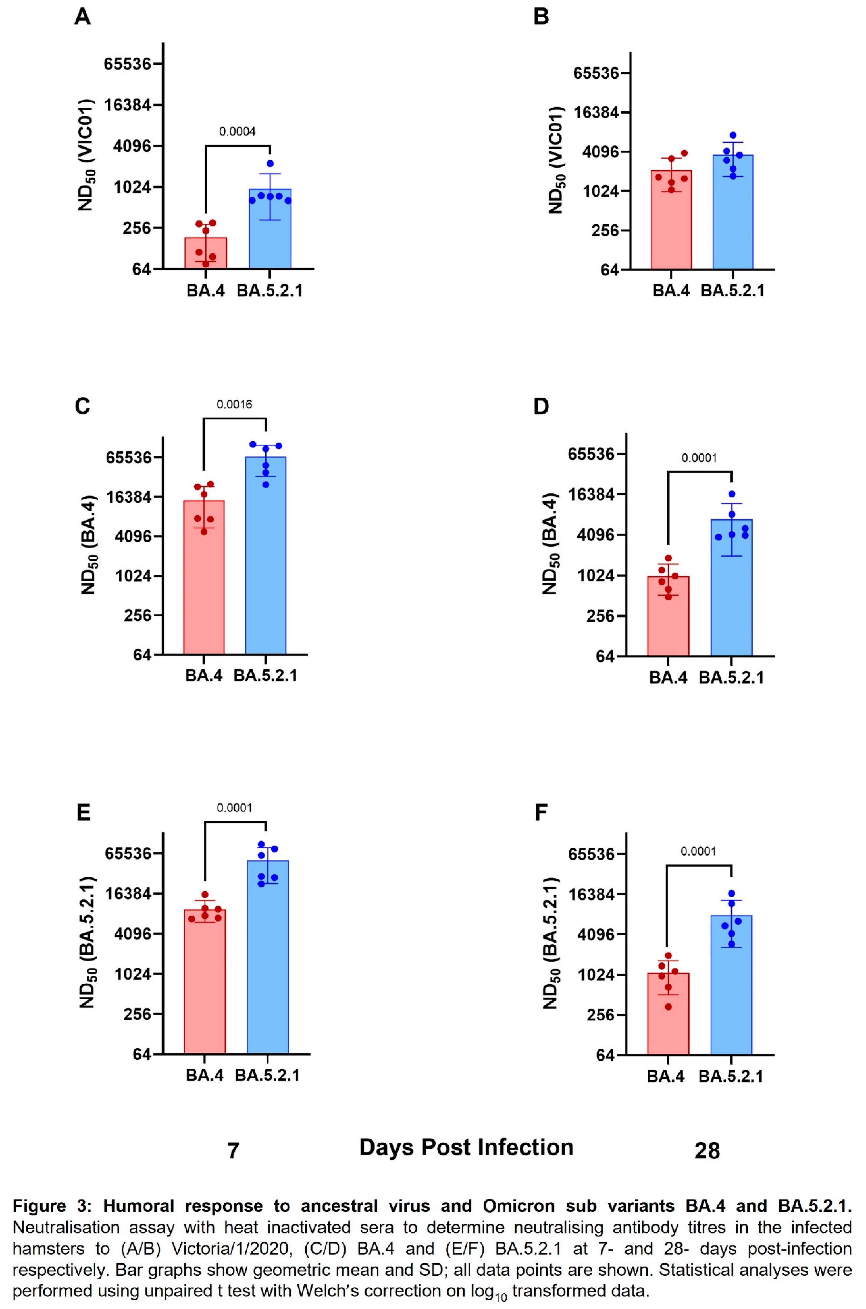 Preprints 71480 i003