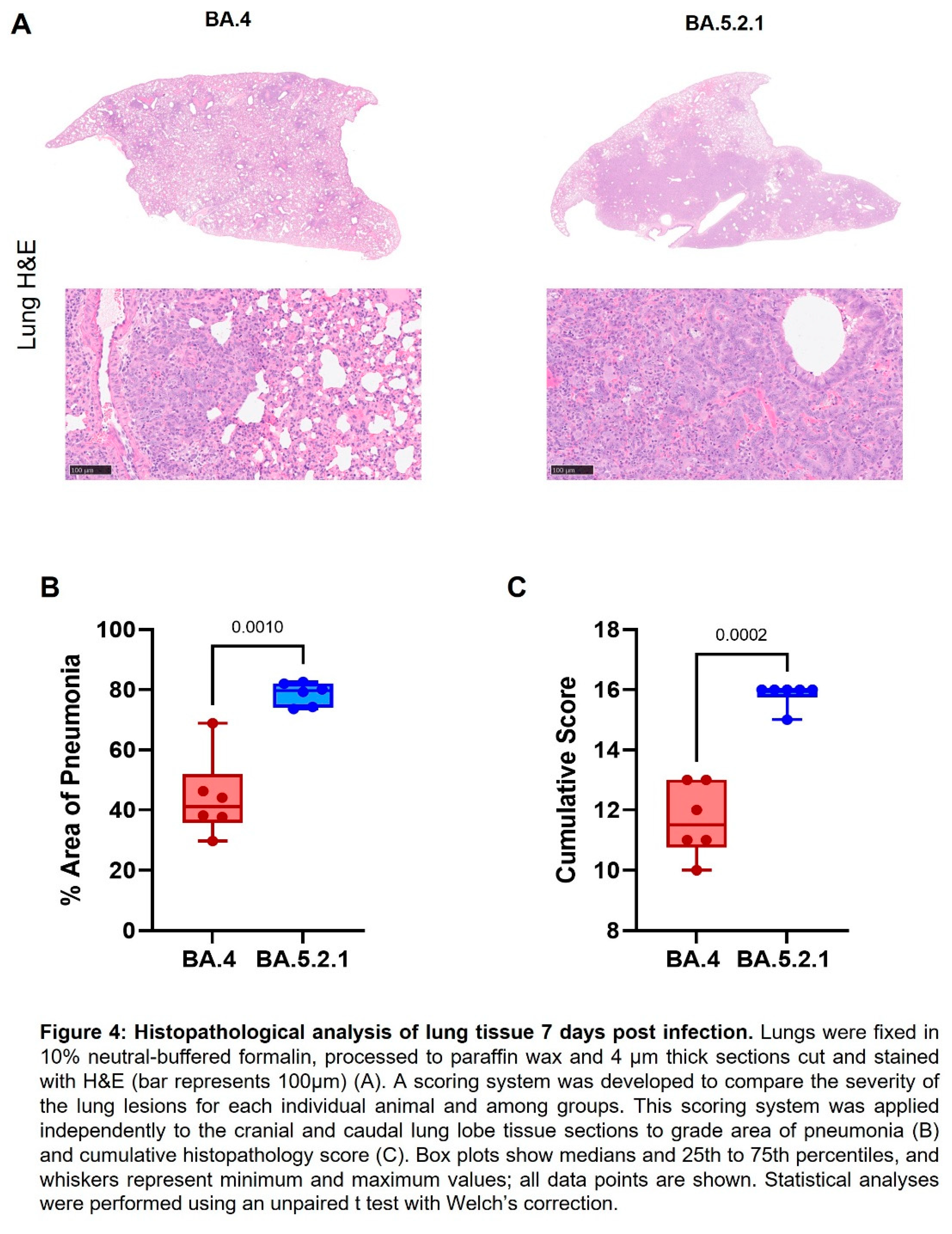 Preprints 71480 i004