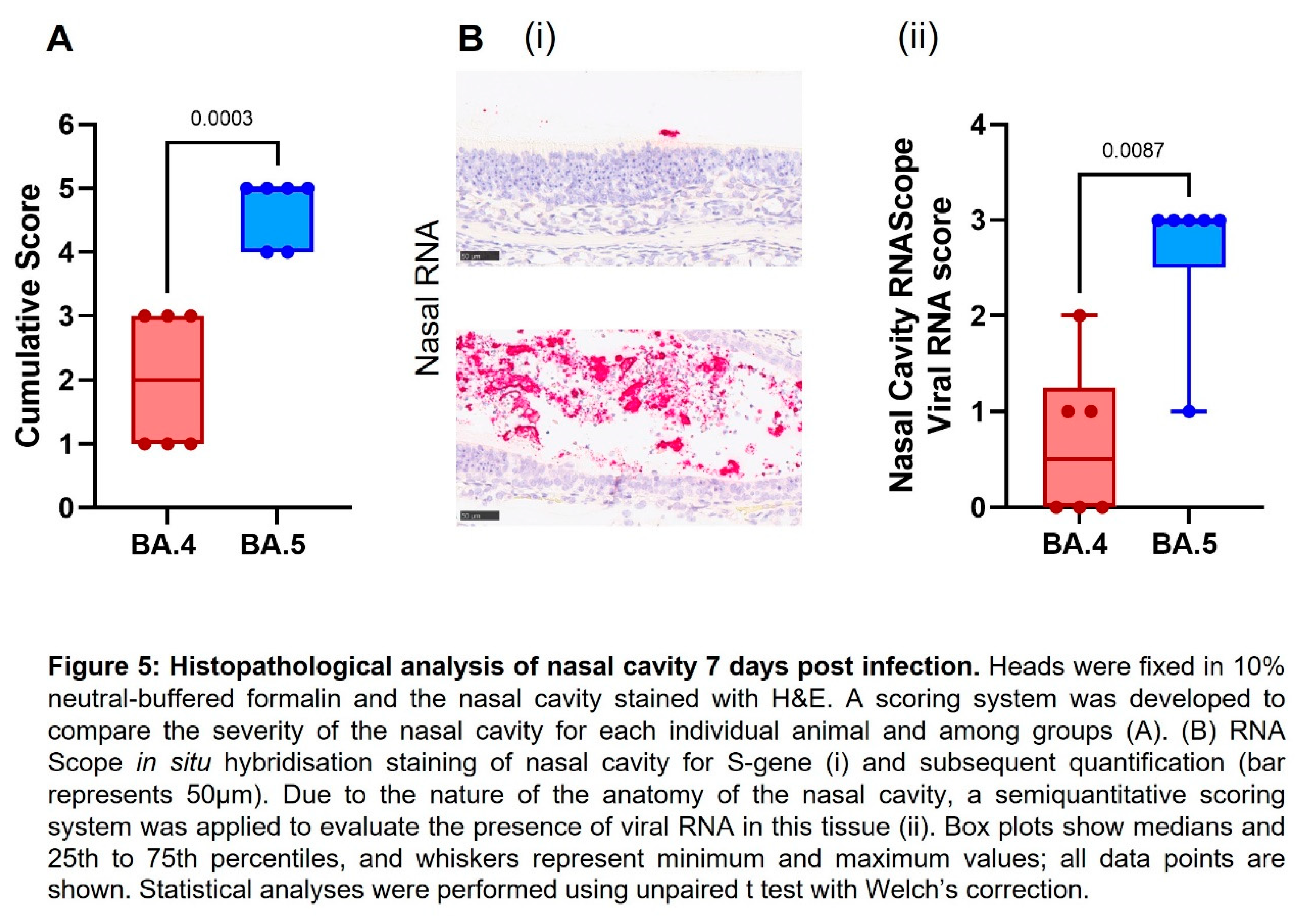 Preprints 71480 i005