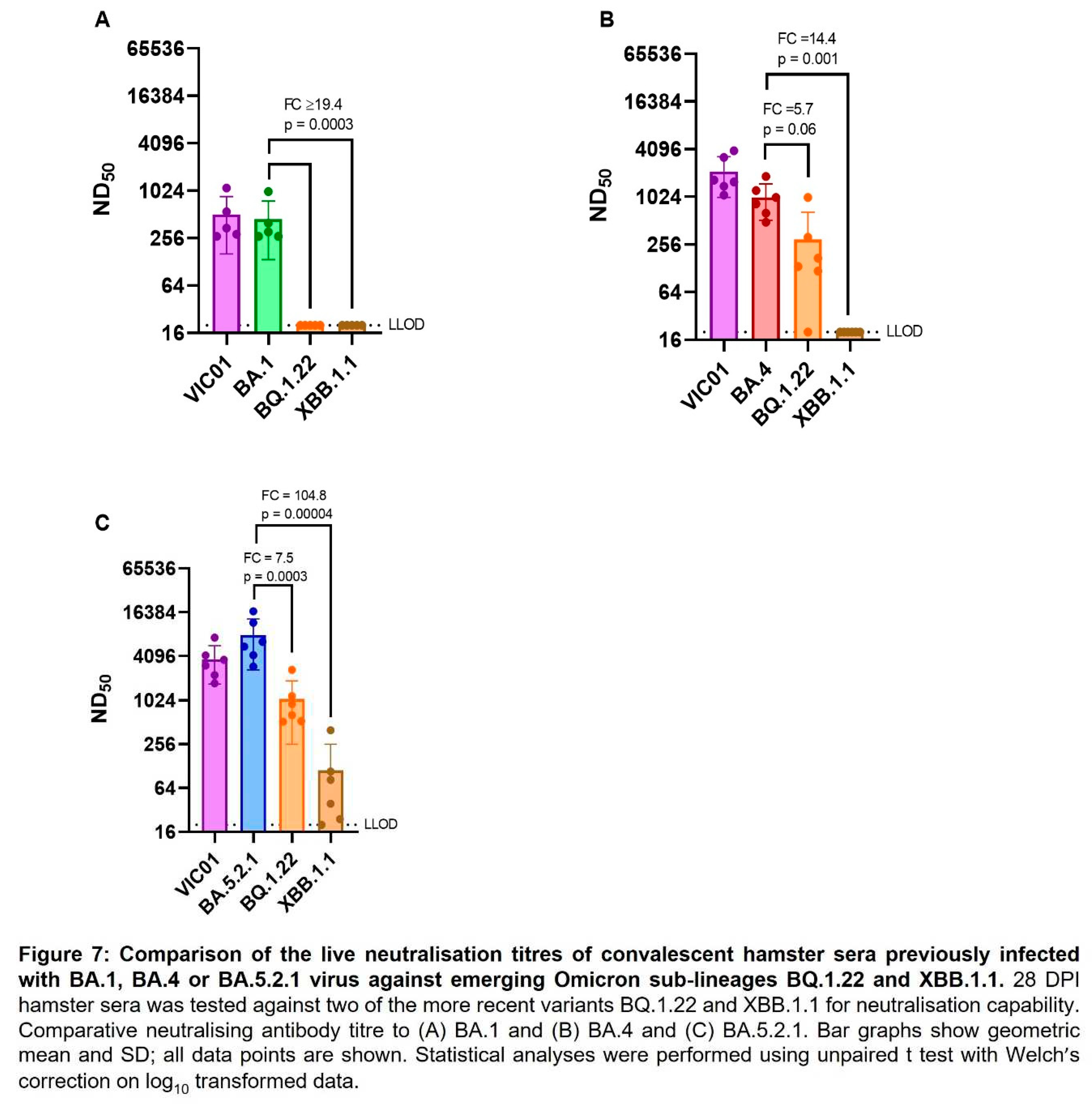 Preprints 71480 i007