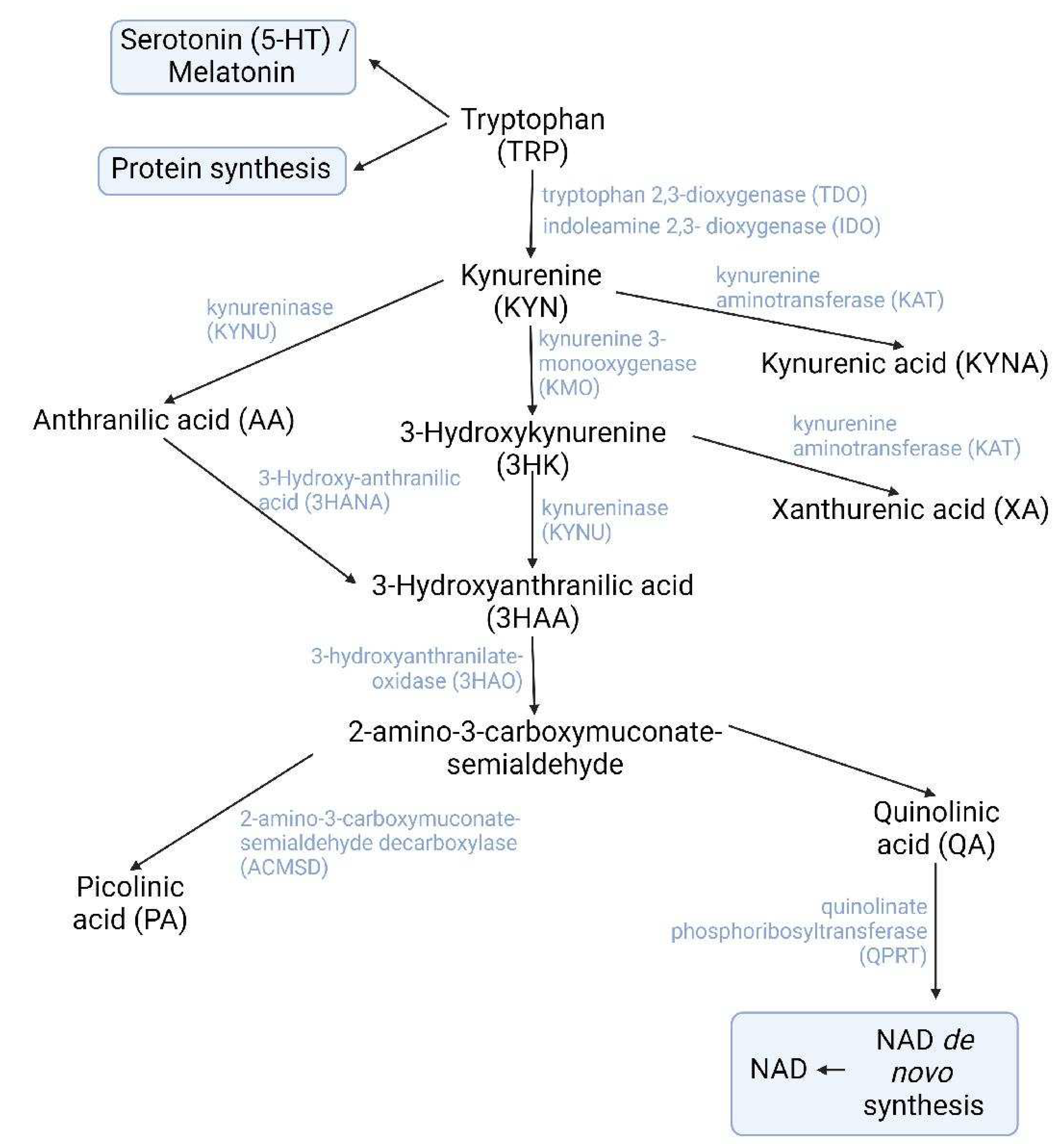 Preprints 84570 g001