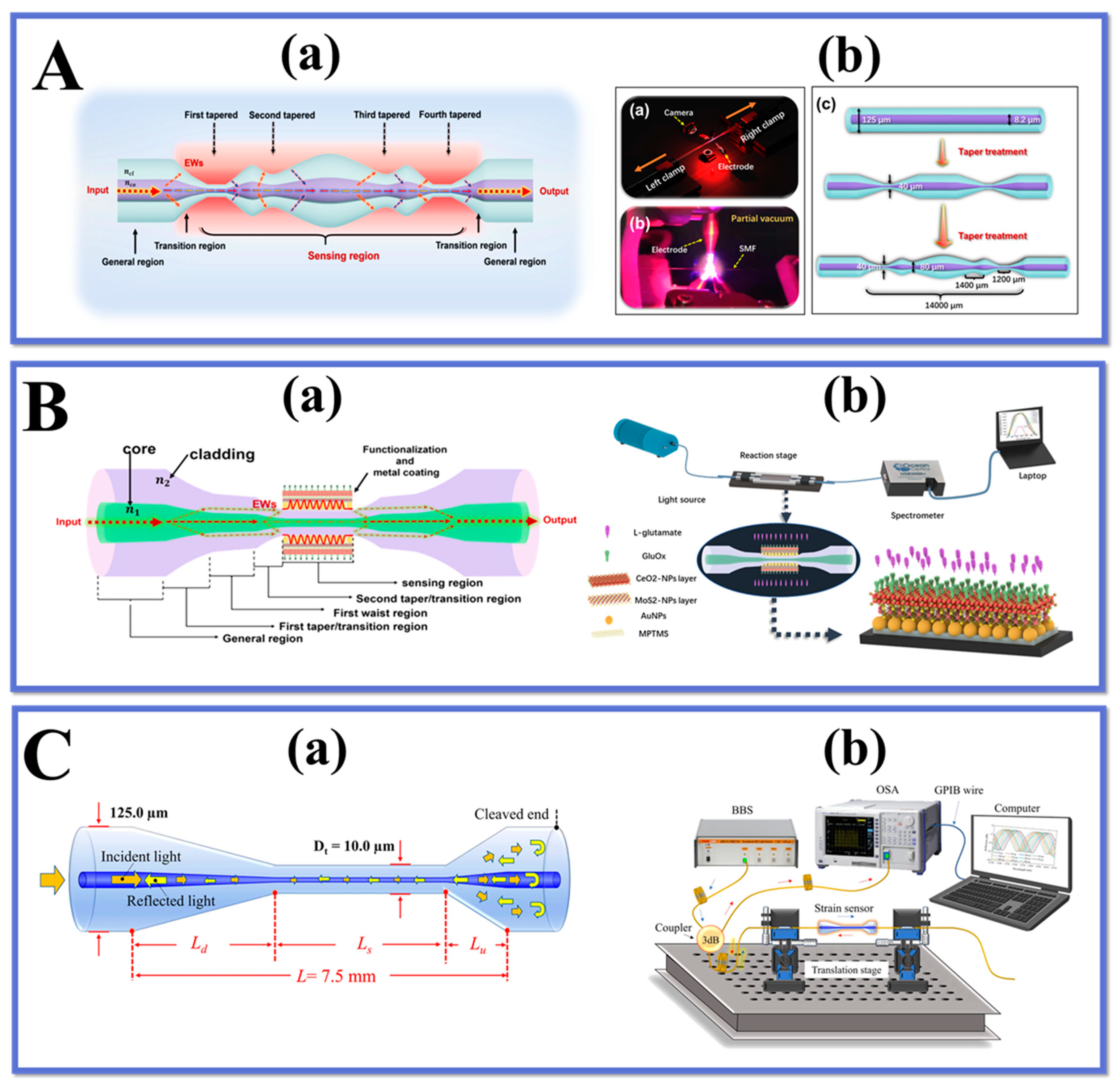 Preprints 73200 g012