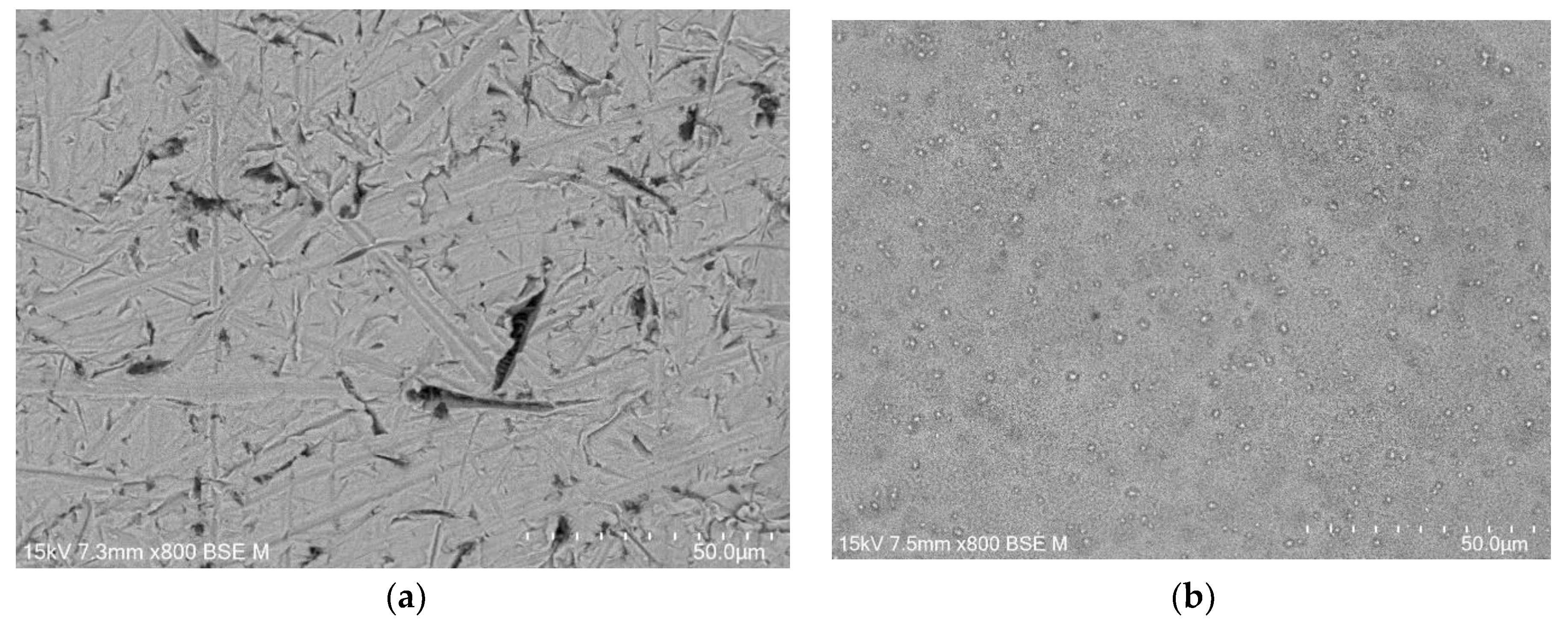 Preprints 105419 g002