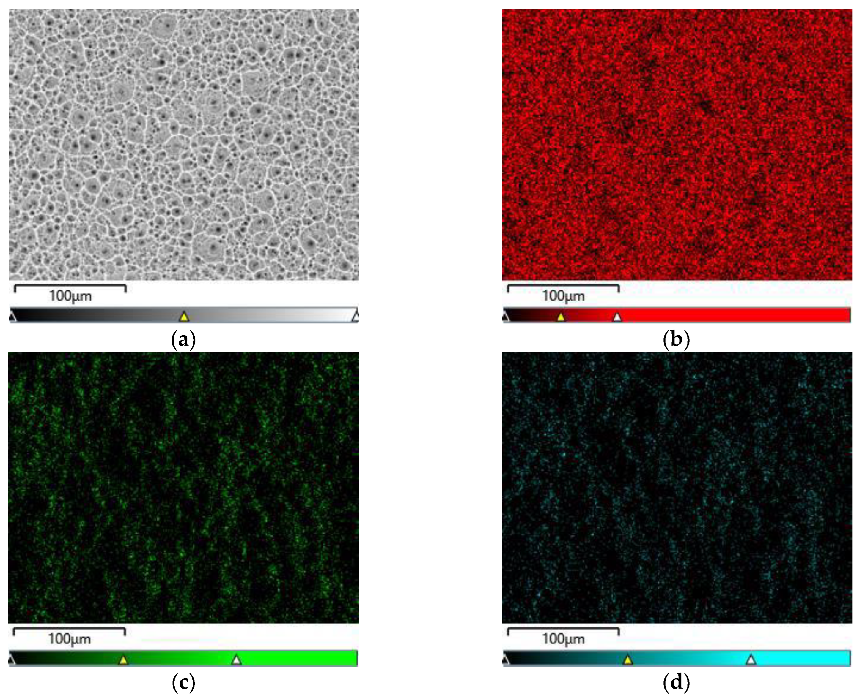 Preprints 105419 g004