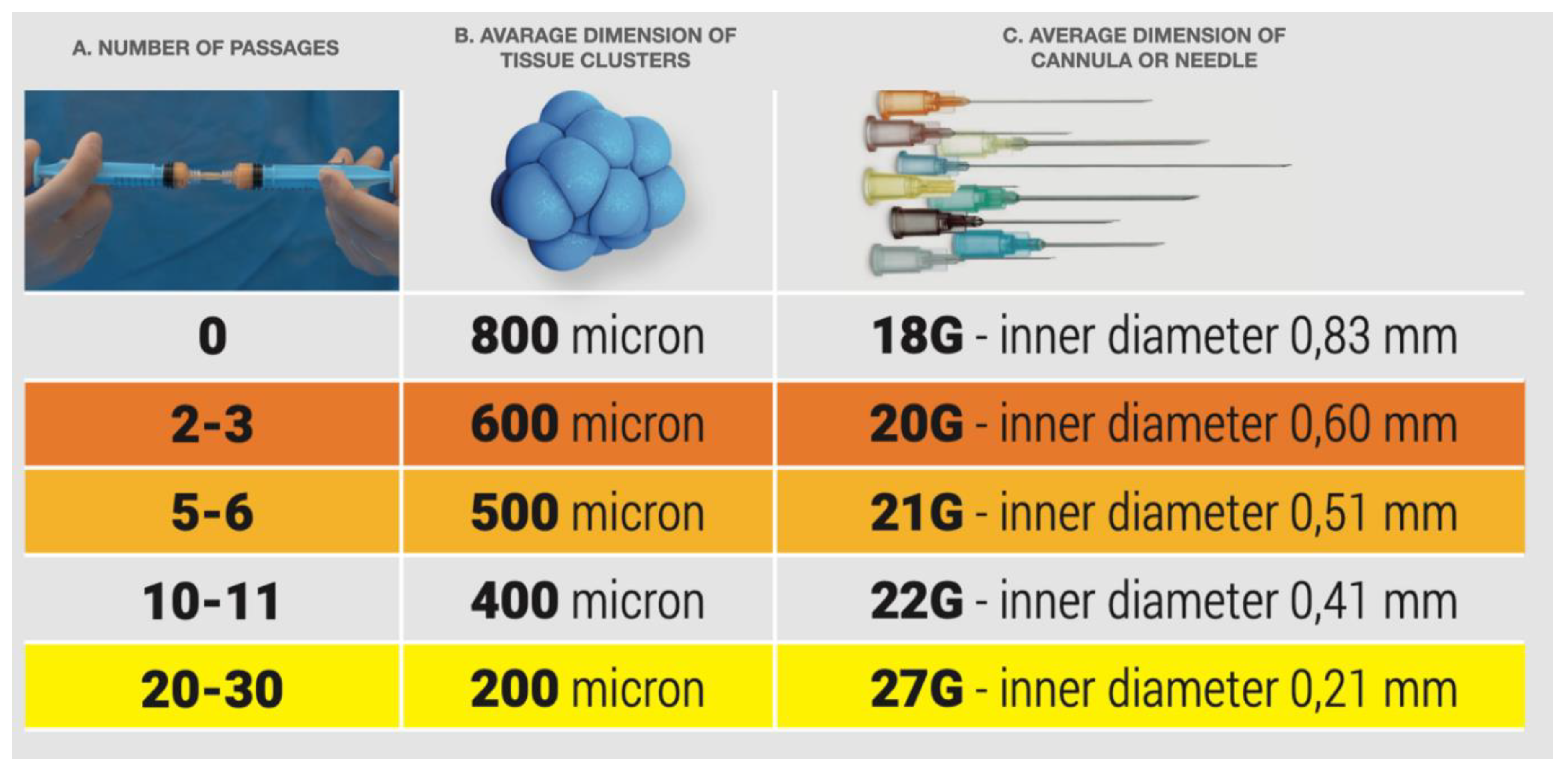 Preprints 71610 g004