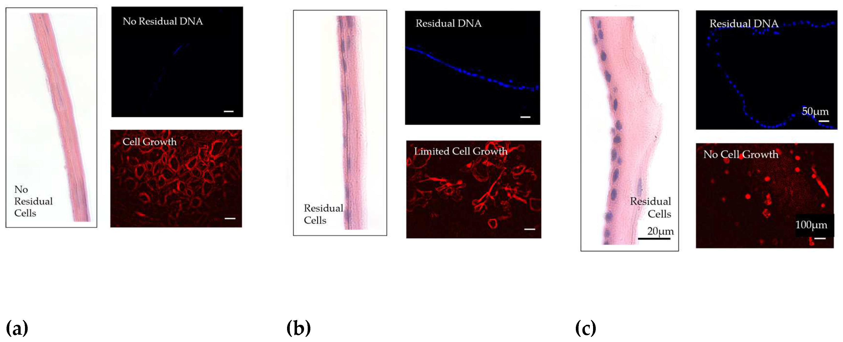 Preprints 75432 g006