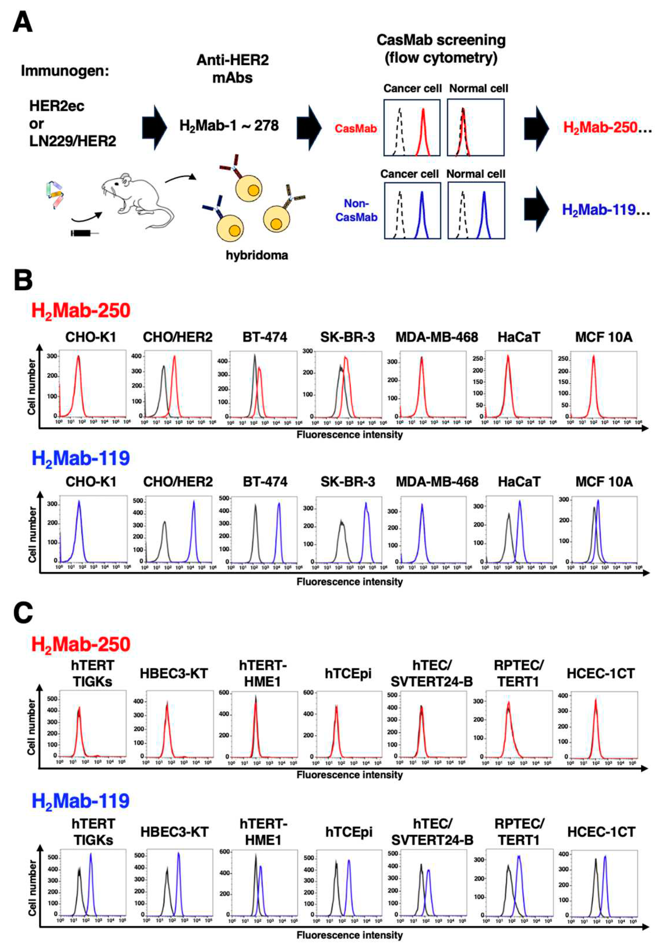 Preprints 84994 g001