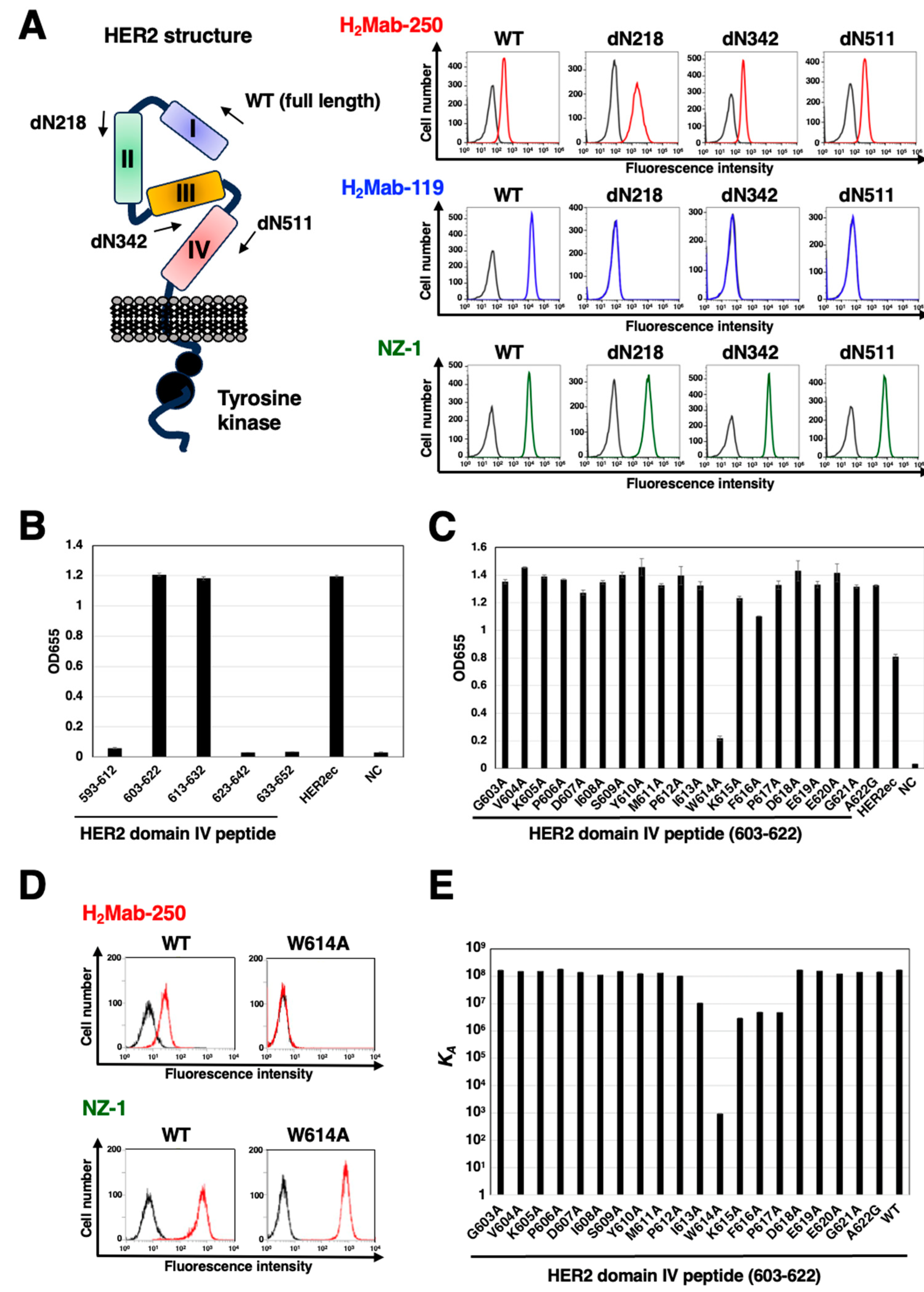 Preprints 84994 g002