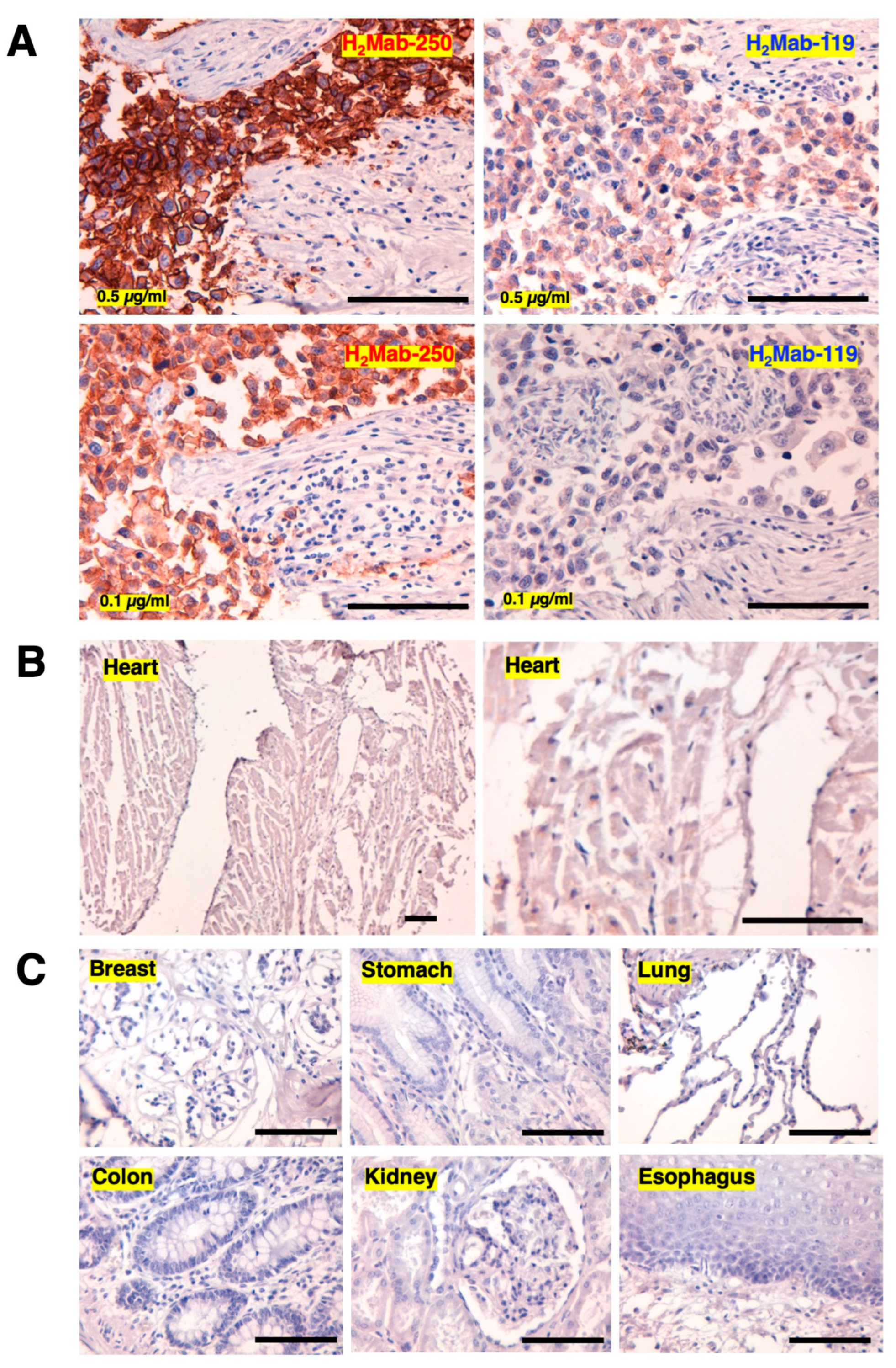 Preprints 84994 g003