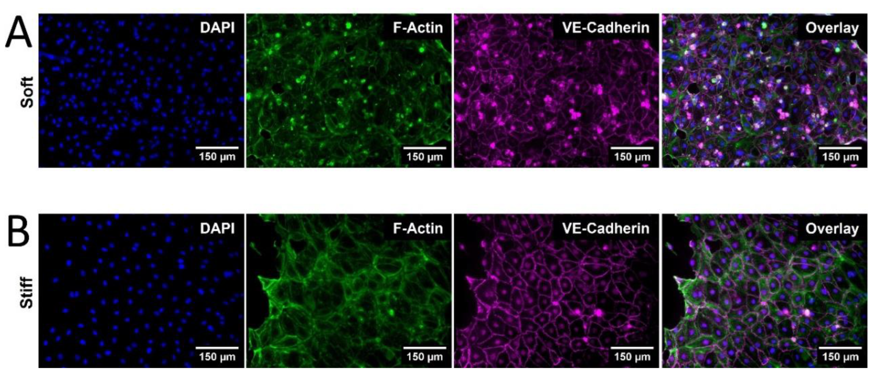 Preprints 108830 g004