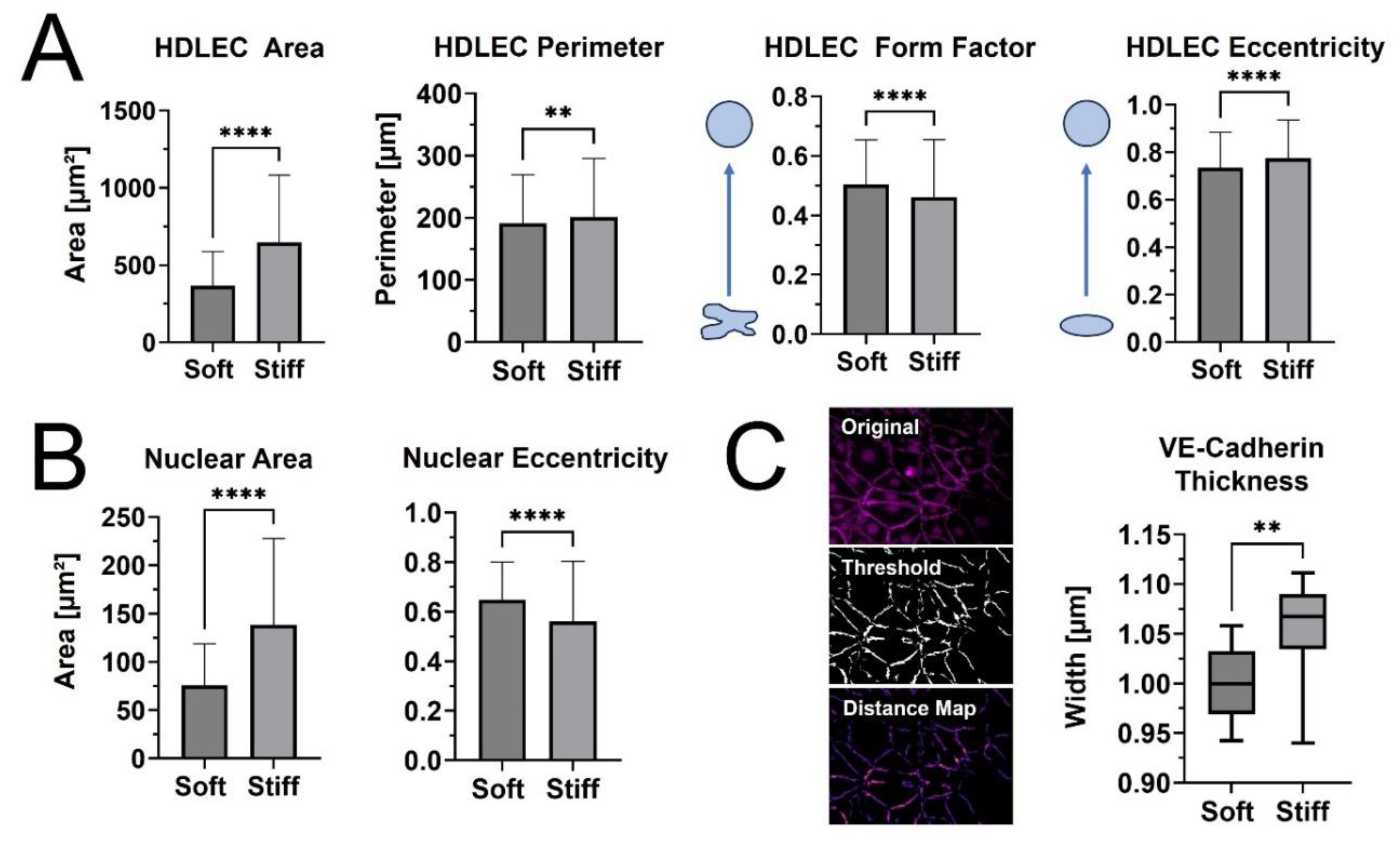 Preprints 108830 g005