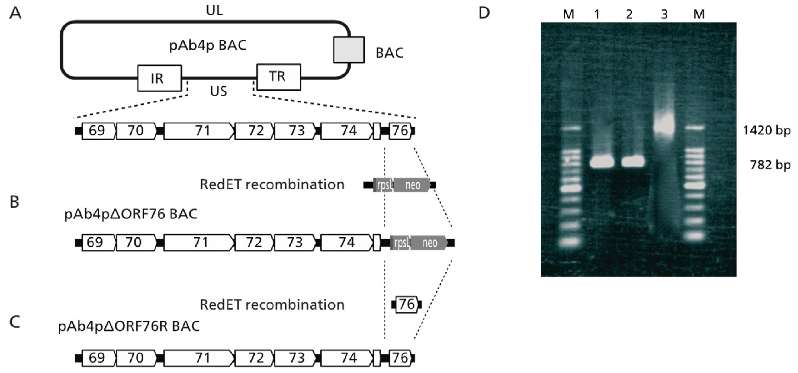 Preprints 116871 g001