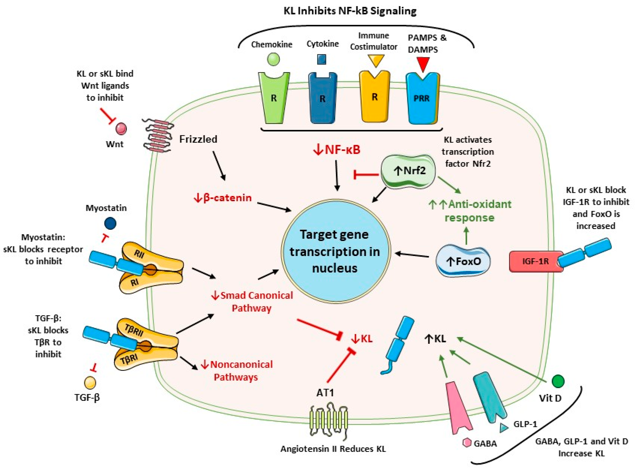 Preprints 114850 g002