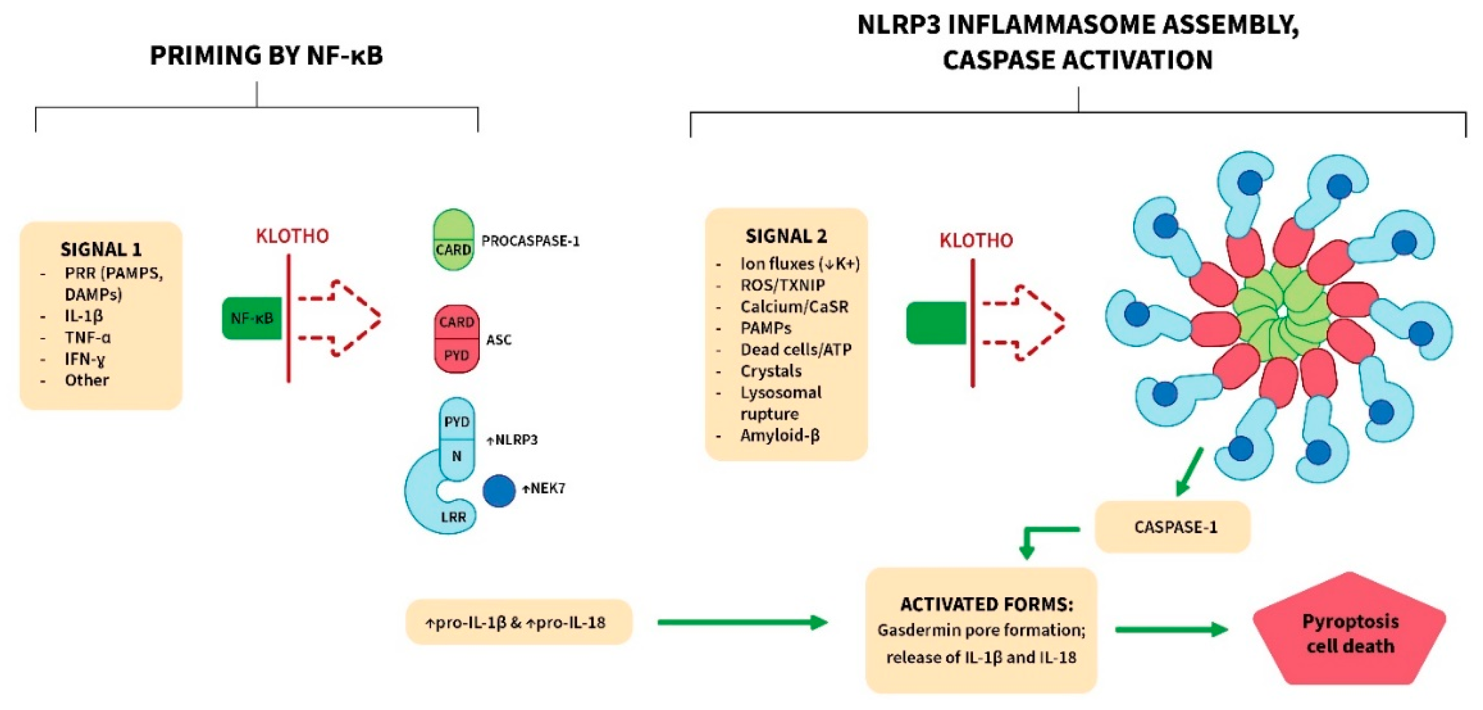 Preprints 114850 g003