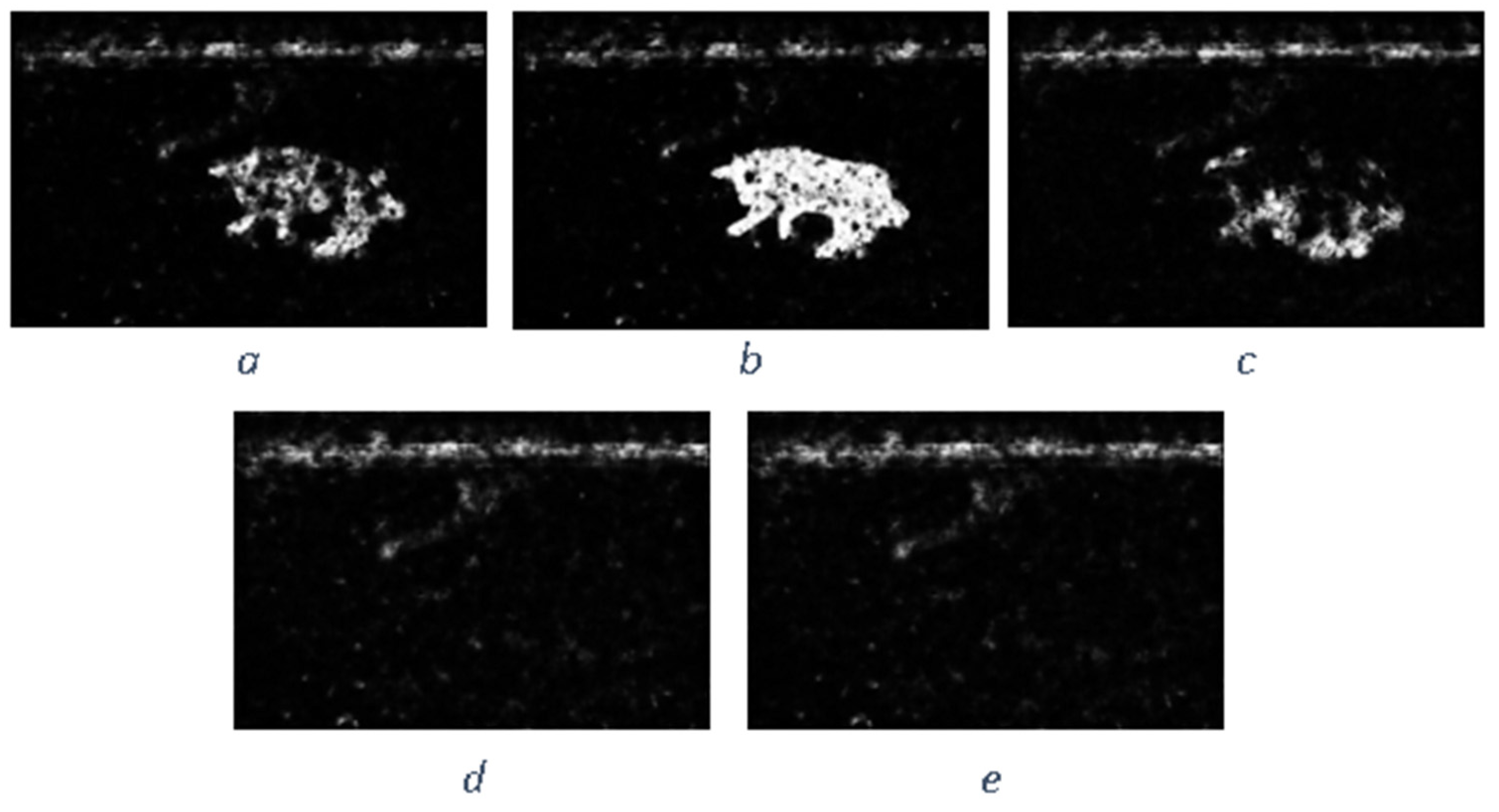 Preprints 87697 g010