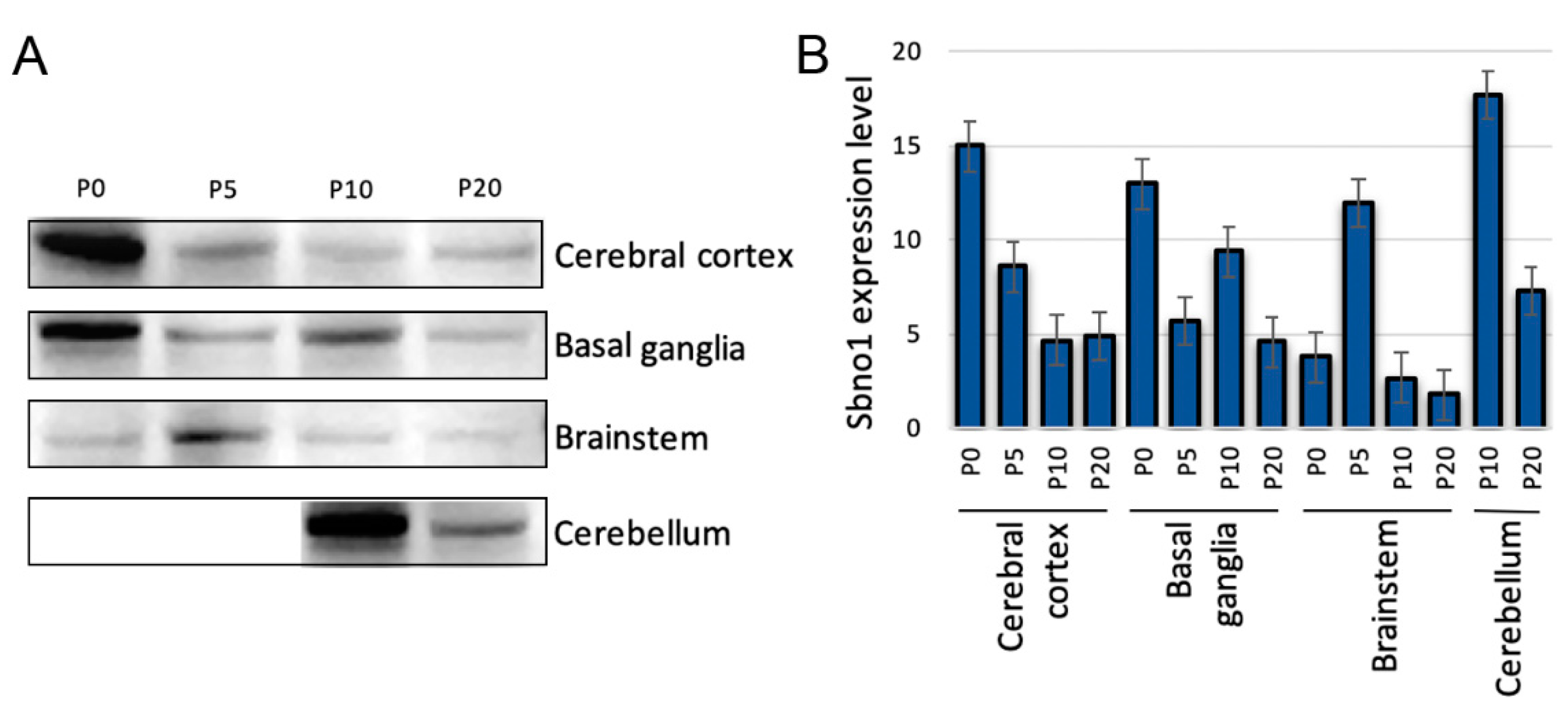 Preprints 138695 g001