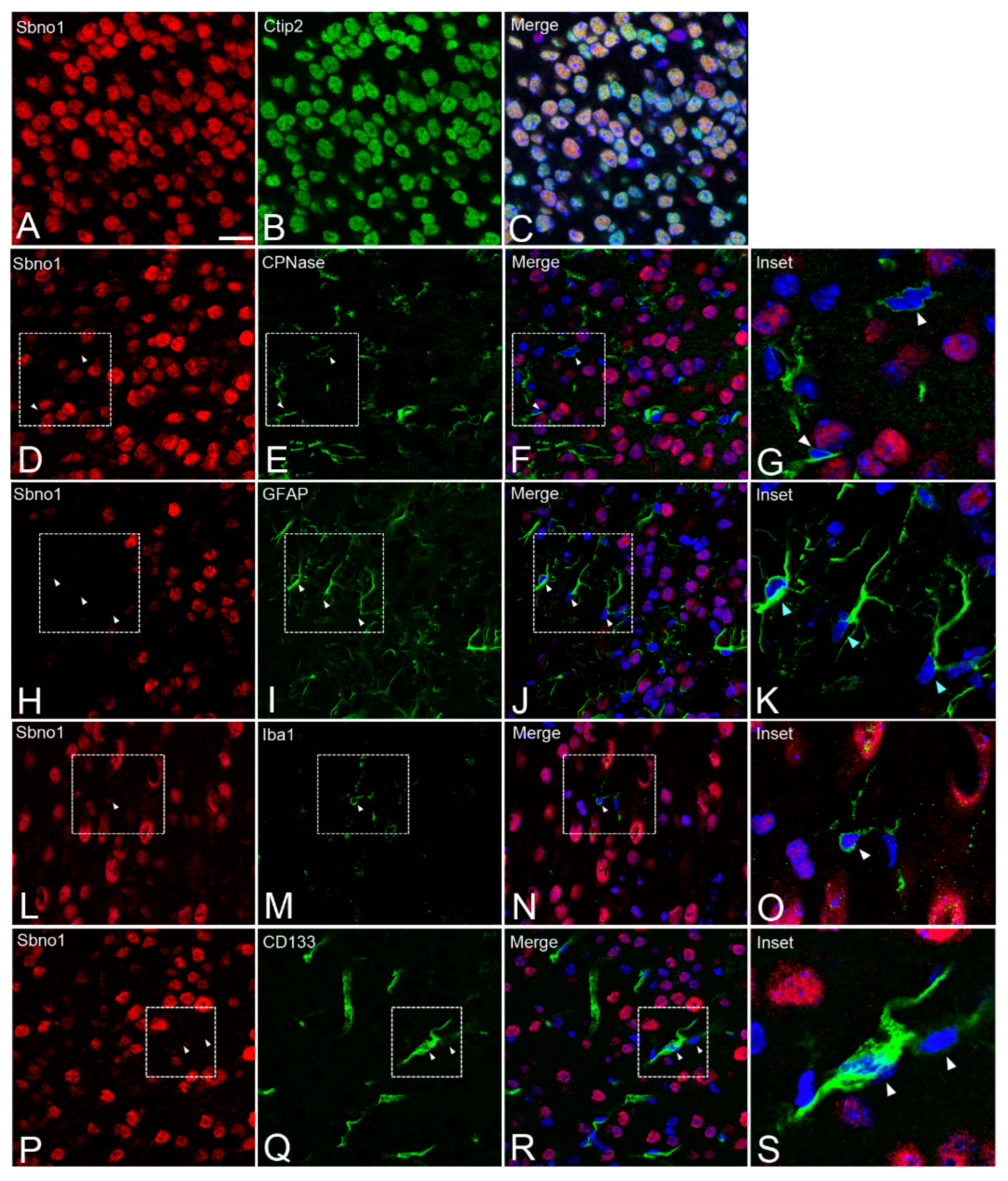 Preprints 138695 g002