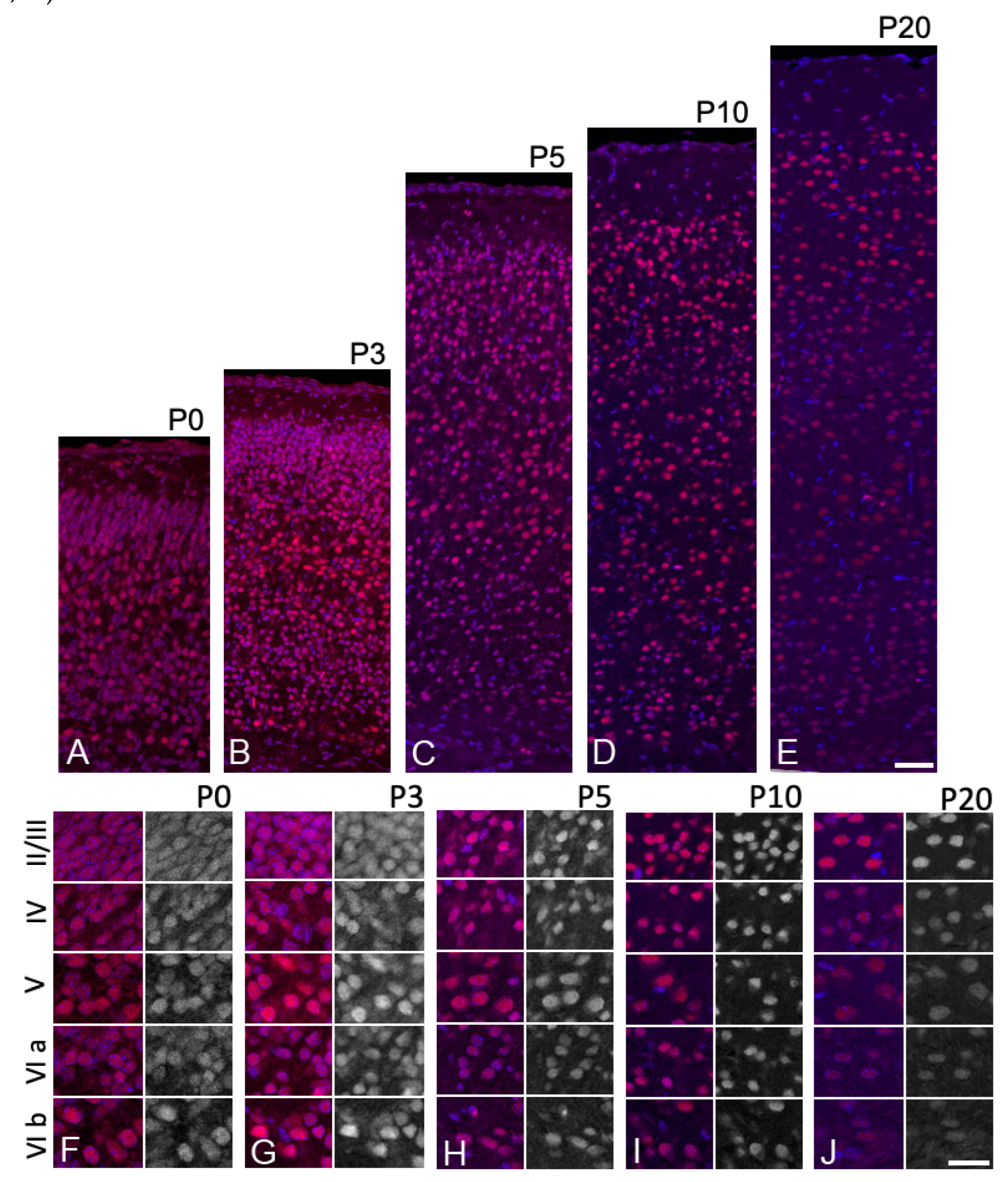 Preprints 138695 g003