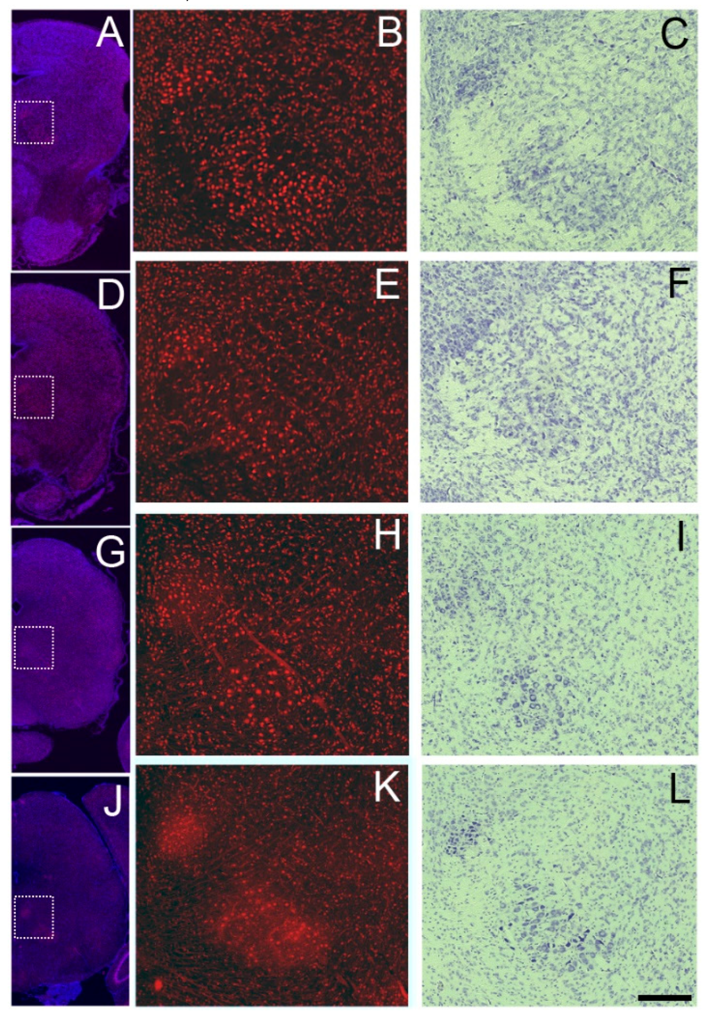 Preprints 138695 g006