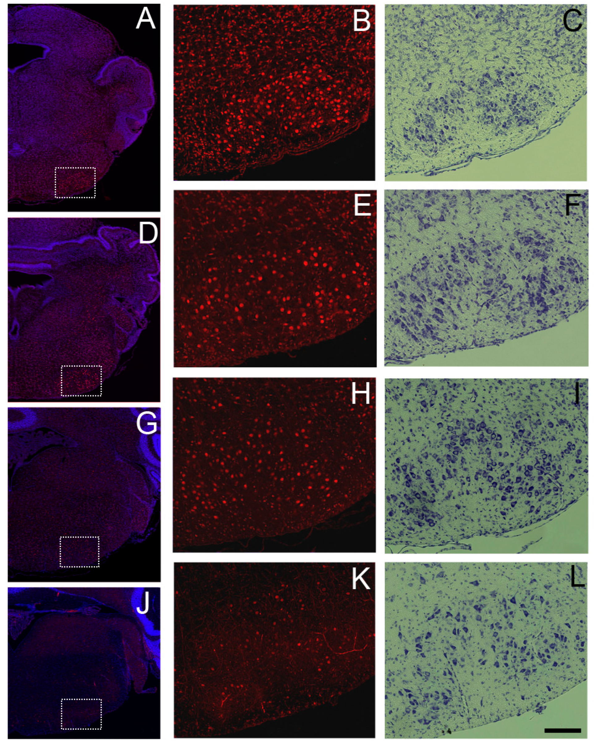 Preprints 138695 g007