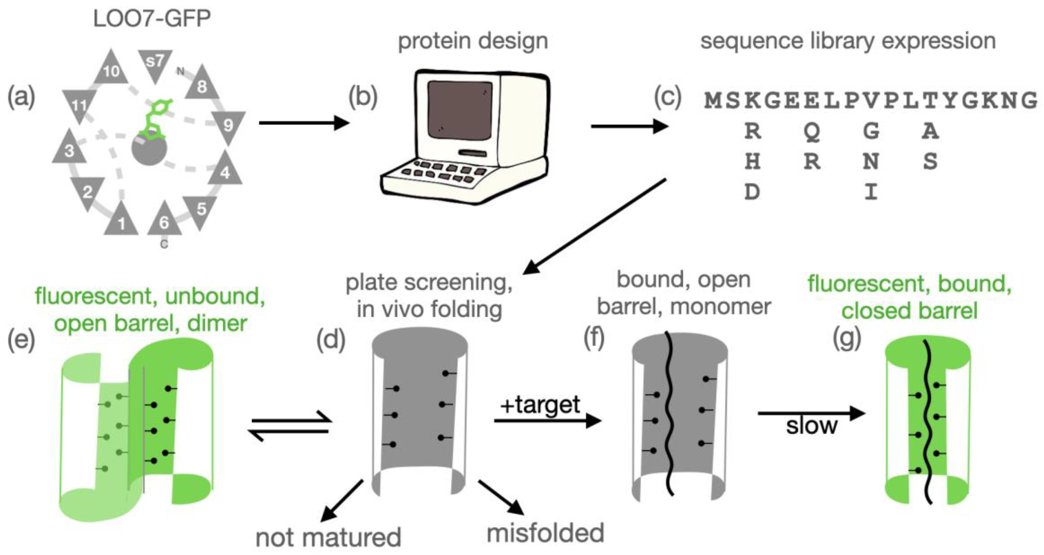 Preprints 119095 g001