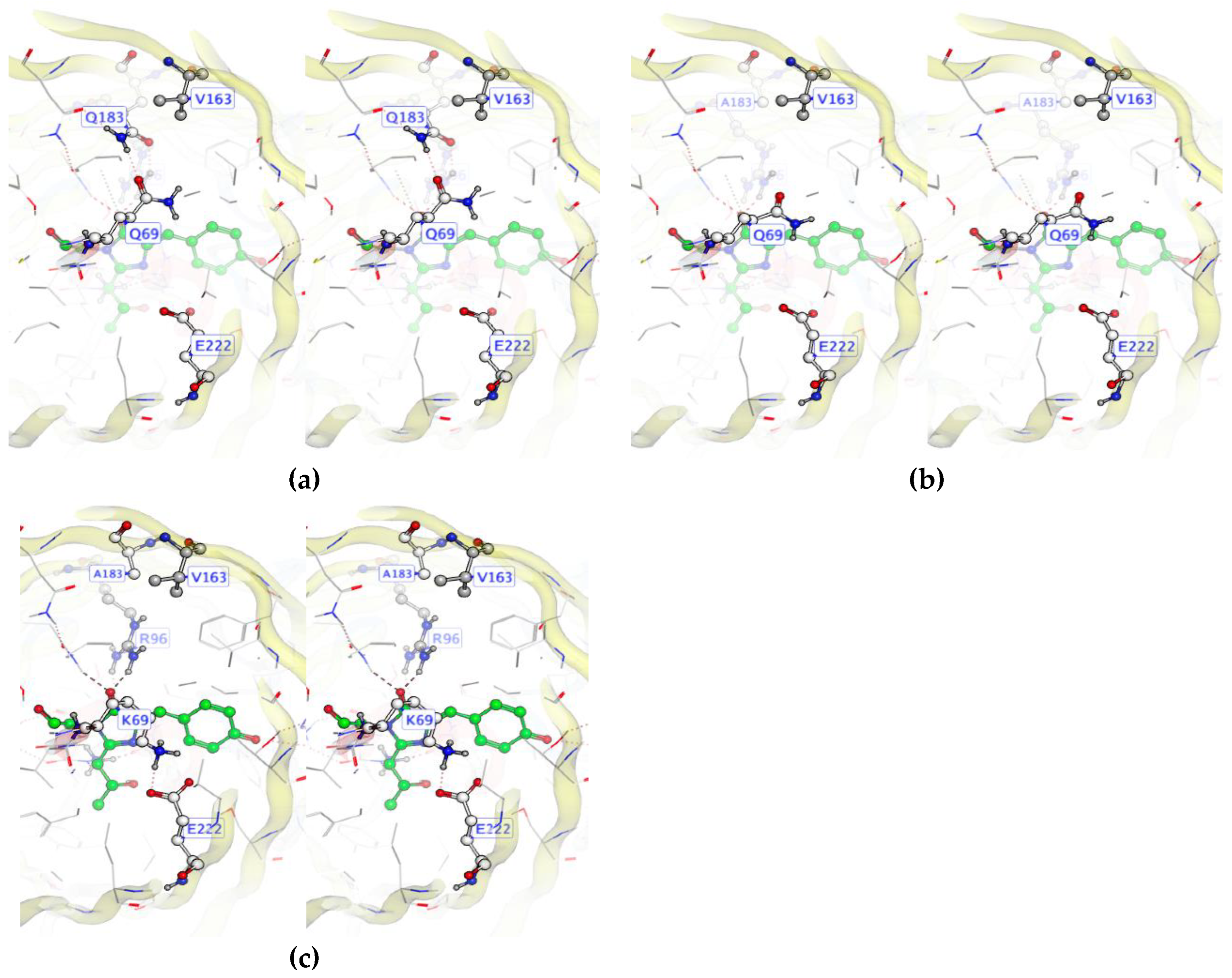 Preprints 119095 g002