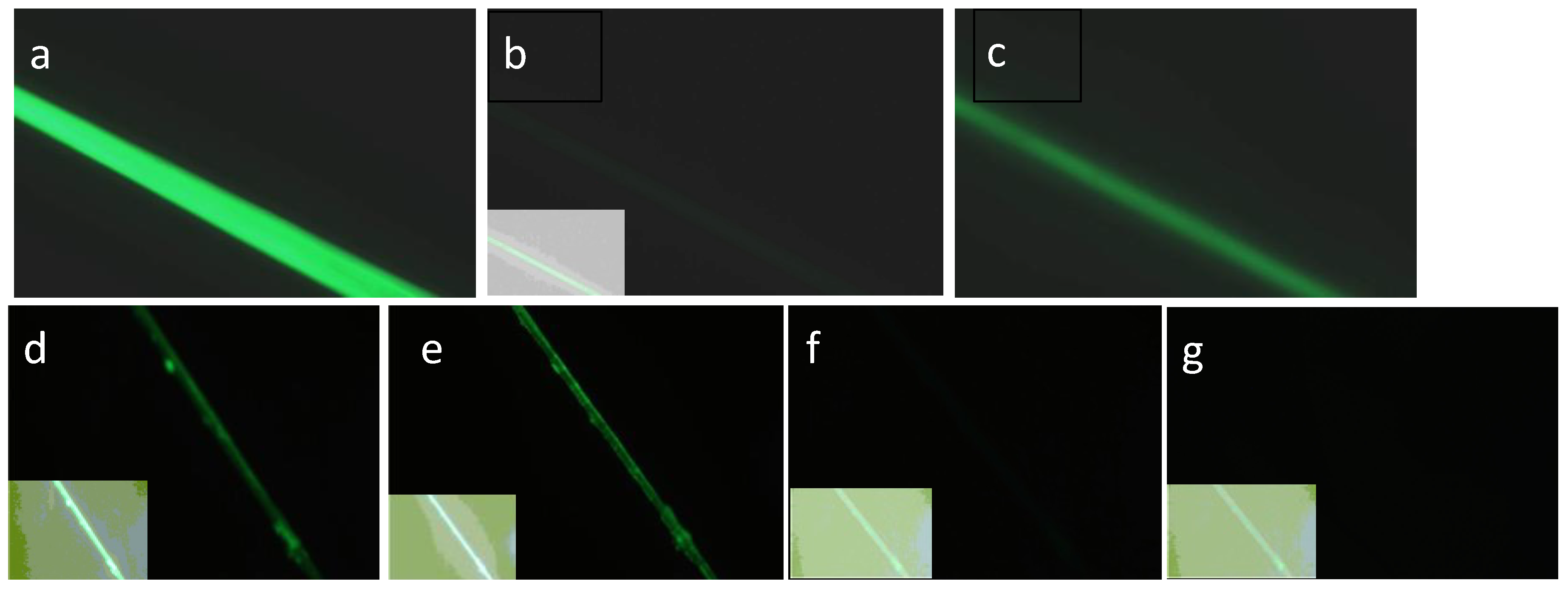 Preprints 119095 g009