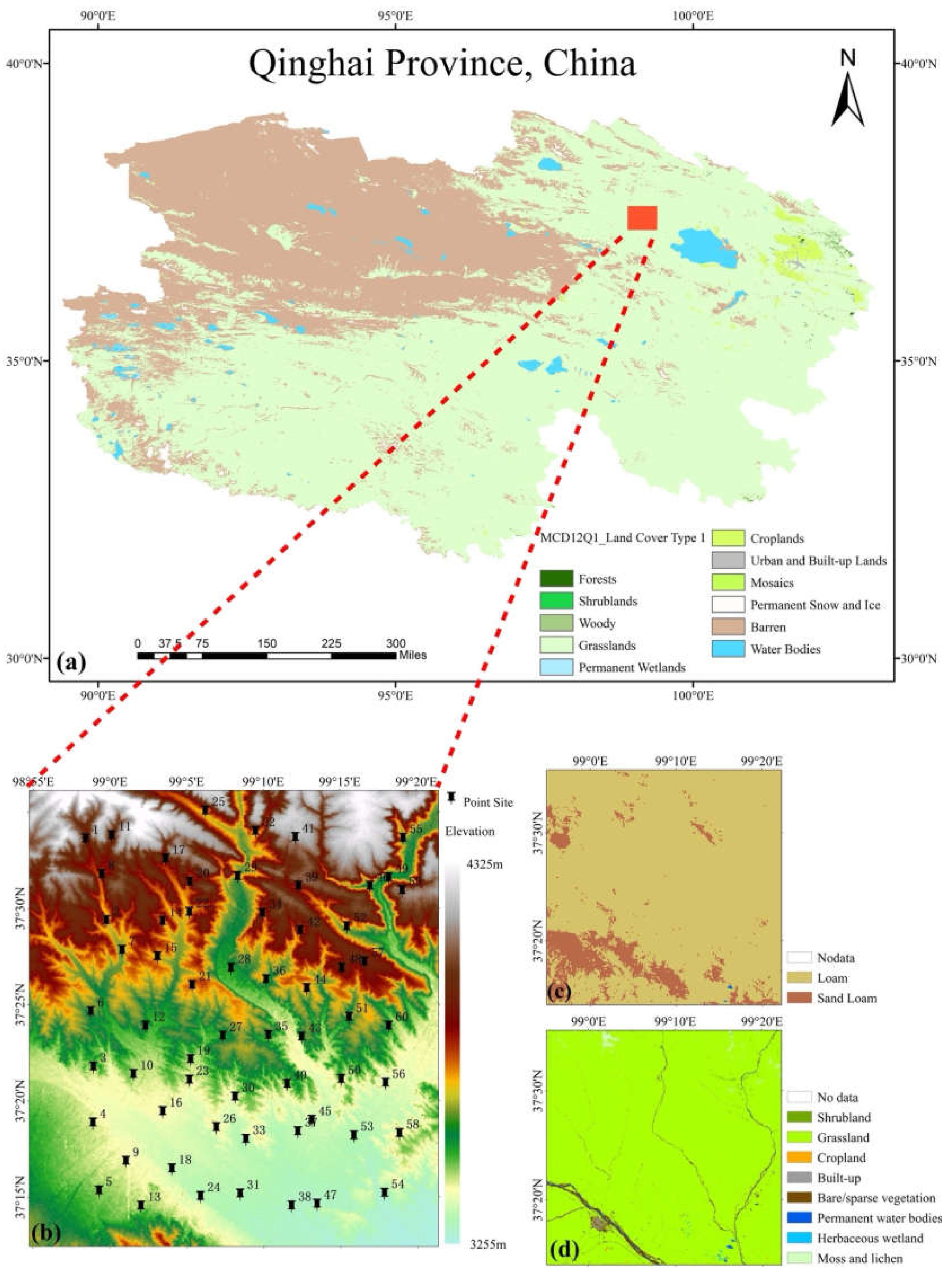 Preprints 141818 g001