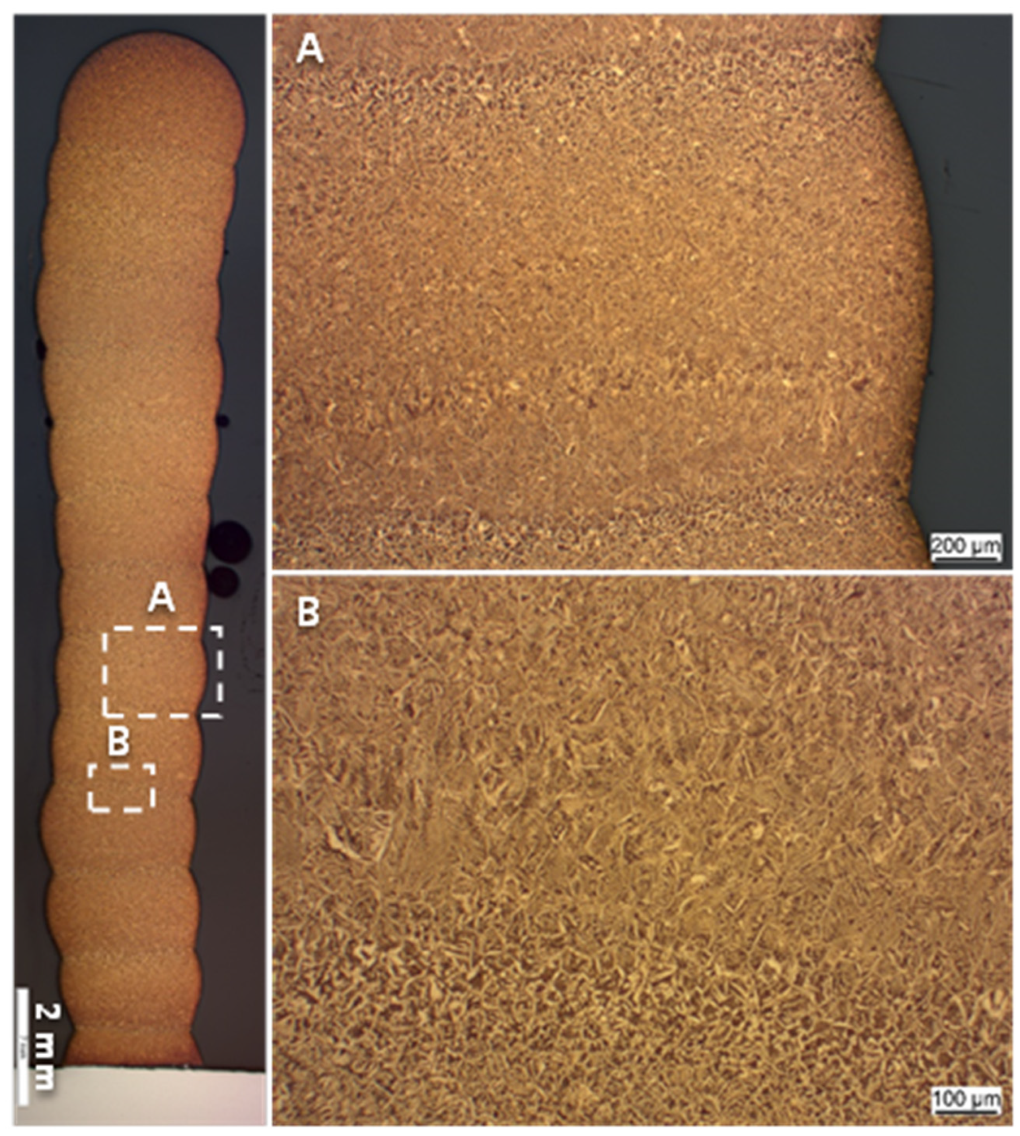 Preprints 77806 g005