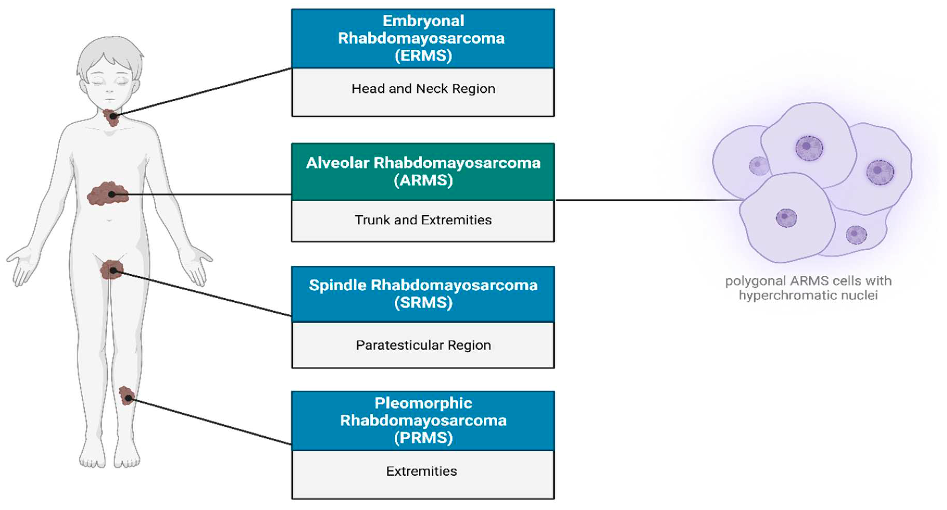 Preprints 97458 g001